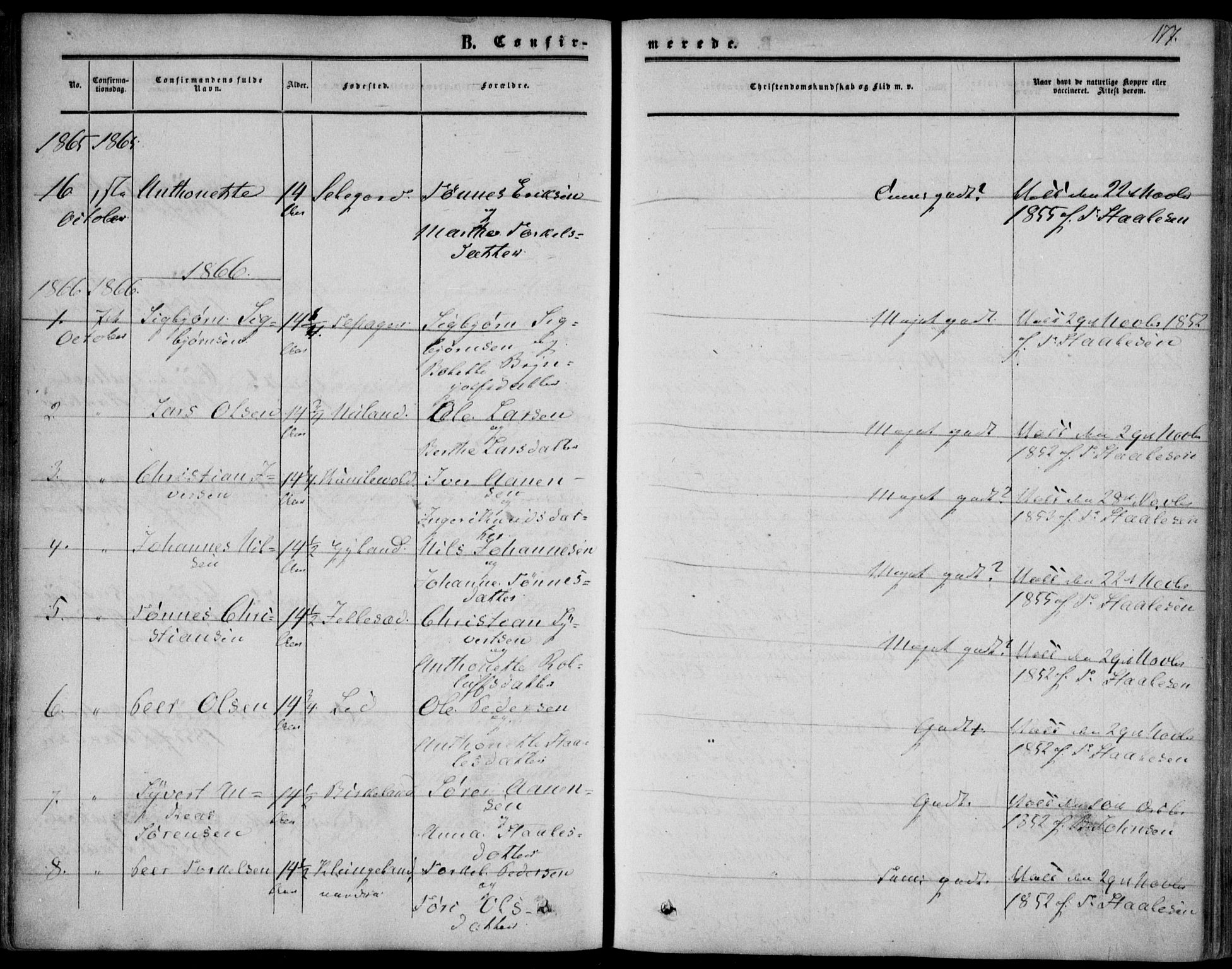Bakke sokneprestkontor, SAK/1111-0002/F/Fa/Fab/L0002: Parish register (official) no. A 2, 1855-1884, p. 177