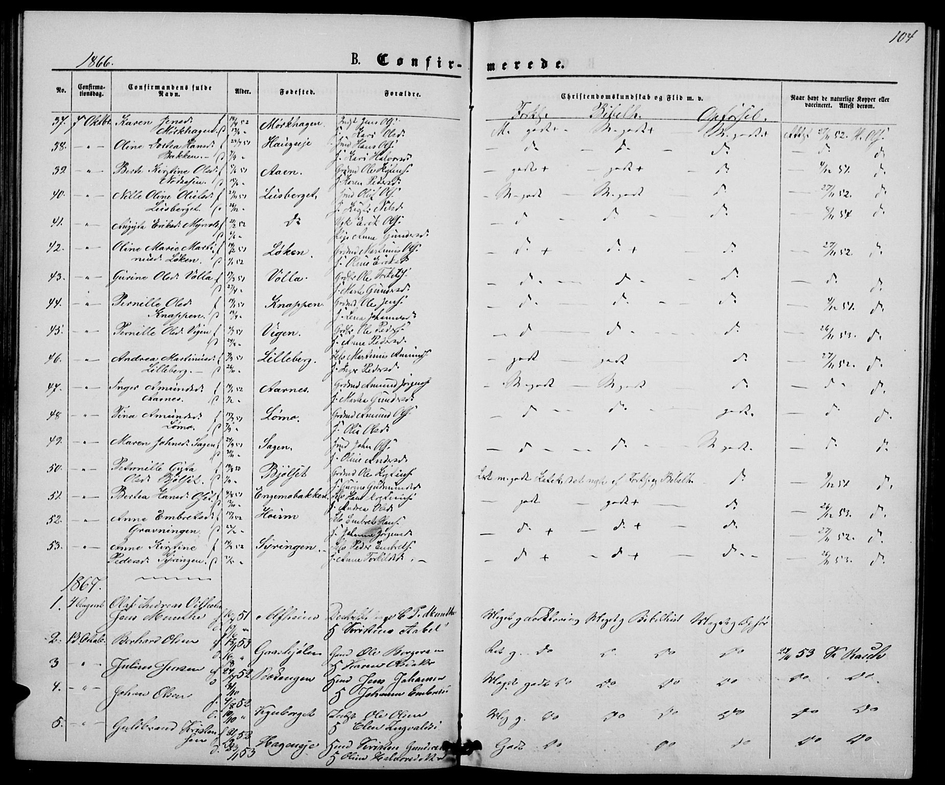 Elverum prestekontor, AV/SAH-PREST-044/H/Ha/Hab/L0004: Parish register (copy) no. 4, 1866-1874, p. 104