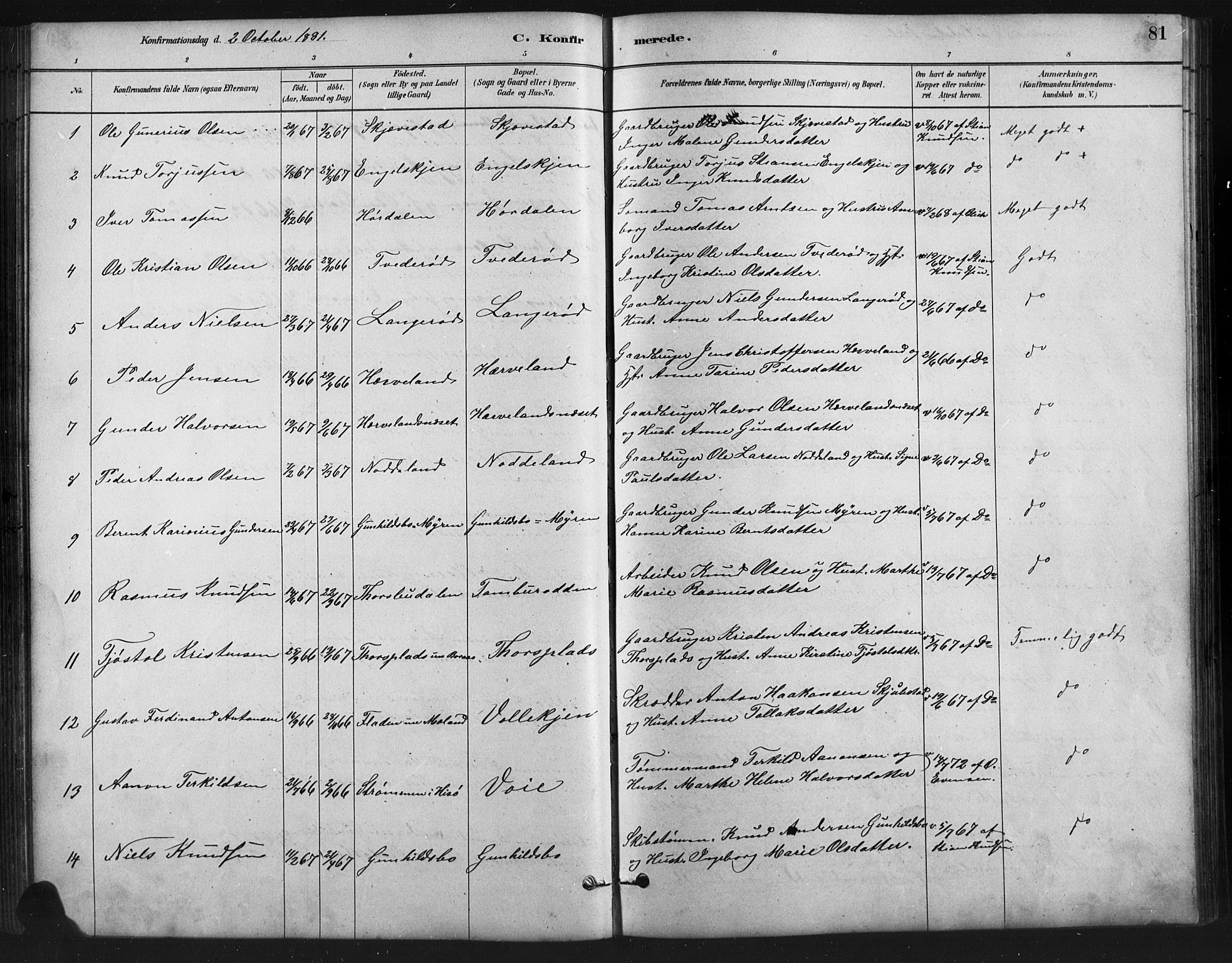 Austre Moland sokneprestkontor, SAK/1111-0001/F/Fb/Fba/L0003: Parish register (copy) no. B 3, 1879-1914, p. 81