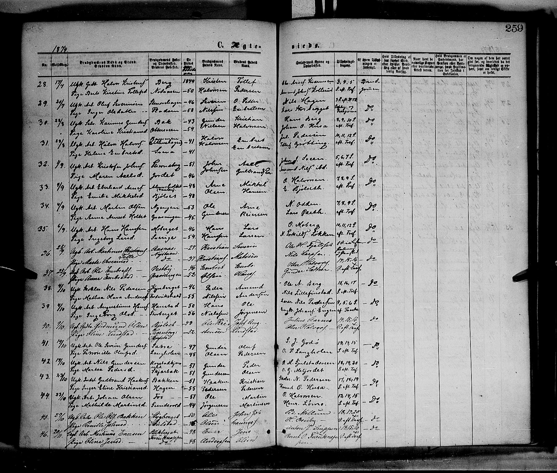 Elverum prestekontor, AV/SAH-PREST-044/H/Ha/Haa/L0011: Parish register (official) no. 11, 1869-1879, p. 259