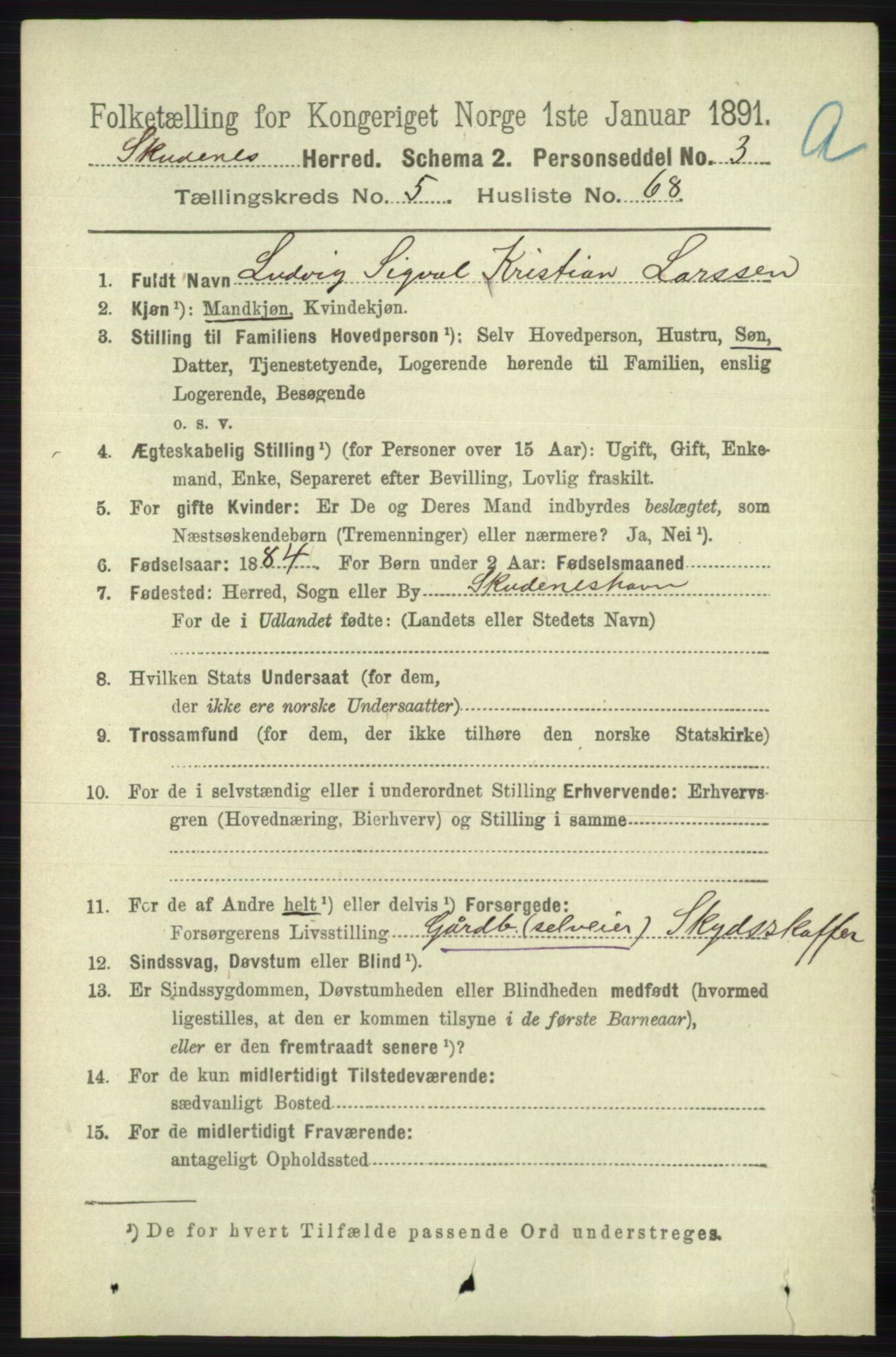 RA, 1891 census for 1150 Skudenes, 1891, p. 2906