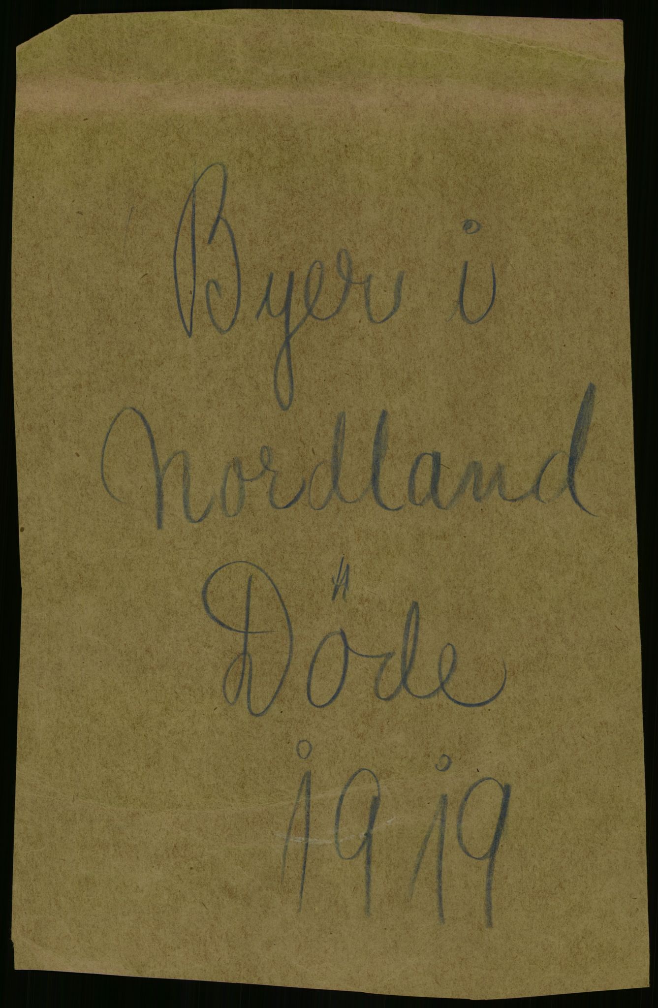 Statistisk sentralbyrå, Sosiodemografiske emner, Befolkning, RA/S-2228/D/Df/Dfb/Dfbi/L0051: Nordland fylke: Døde. Bygder og byer., 1919