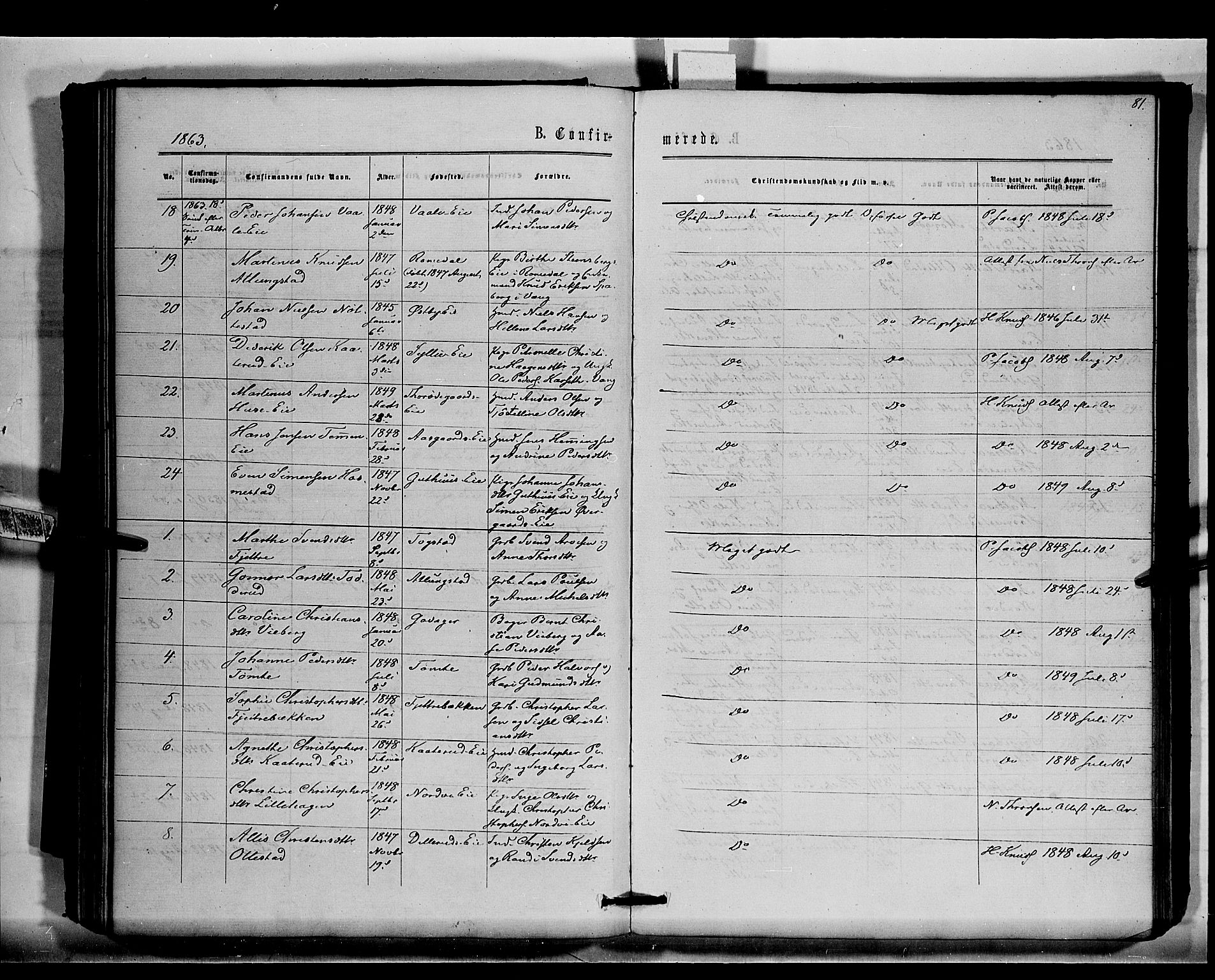 Stange prestekontor, AV/SAH-PREST-002/K/L0015: Parish register (official) no. 15, 1862-1879, p. 81