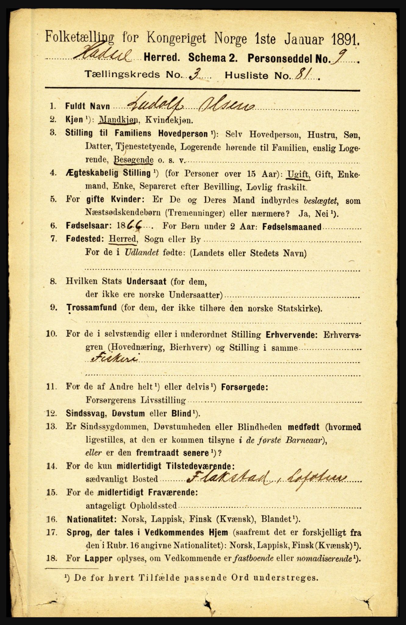 RA, 1891 census for 1866 Hadsel, 1891, p. 1652