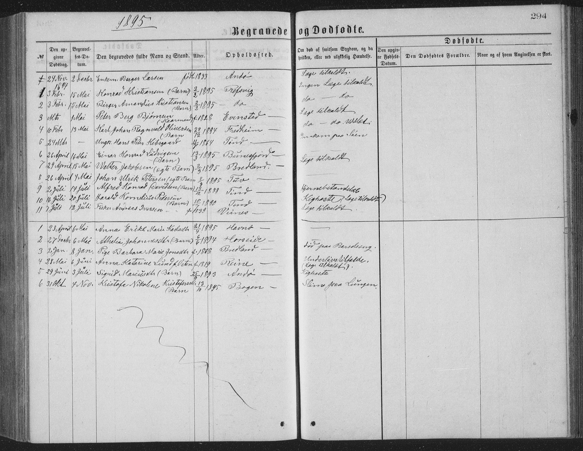 Ministerialprotokoller, klokkerbøker og fødselsregistre - Nordland, SAT/A-1459/886/L1225: Parish register (copy) no. 886C02, 1874-1896, p. 294