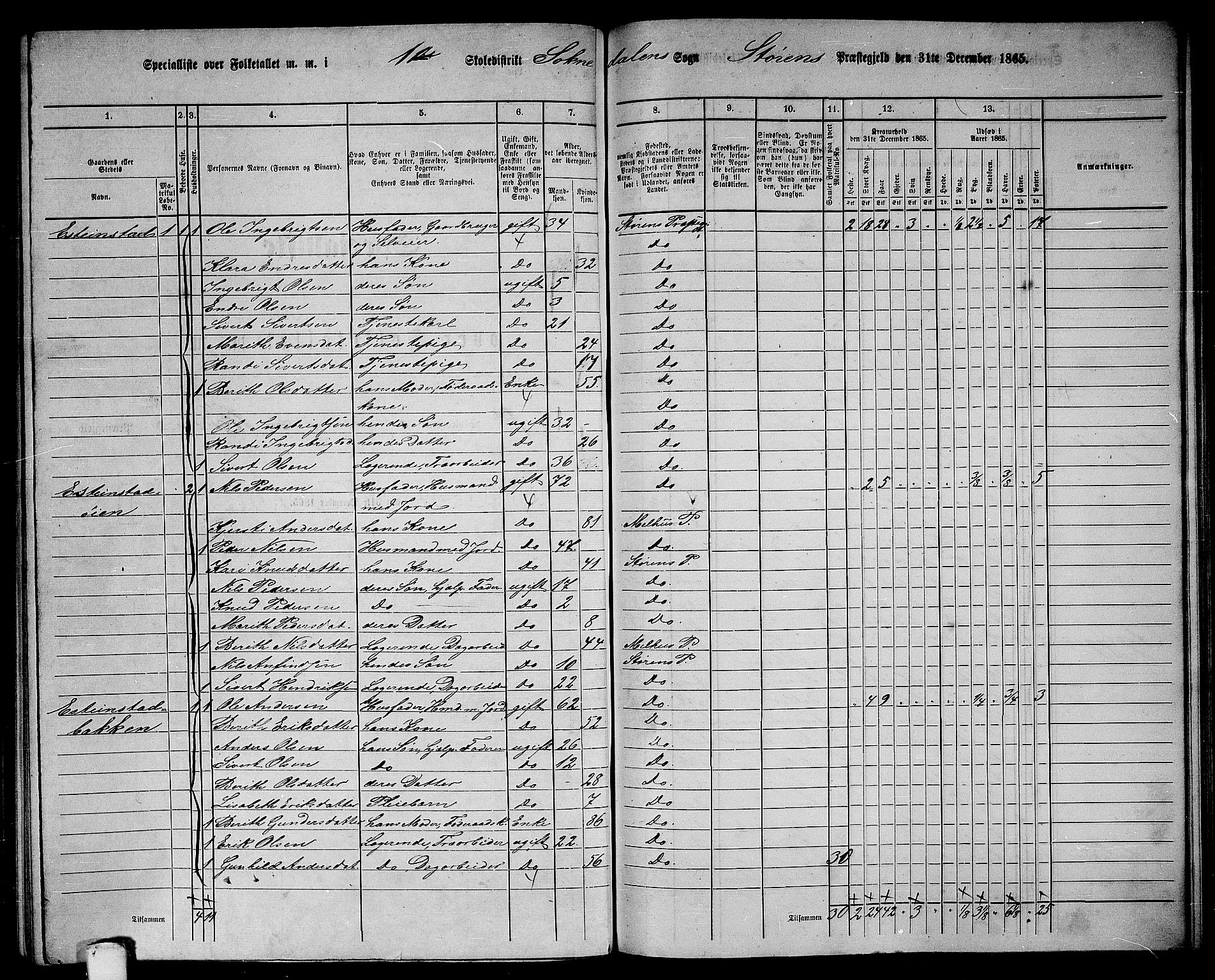 RA, 1865 census for Støren, 1865, p. 215