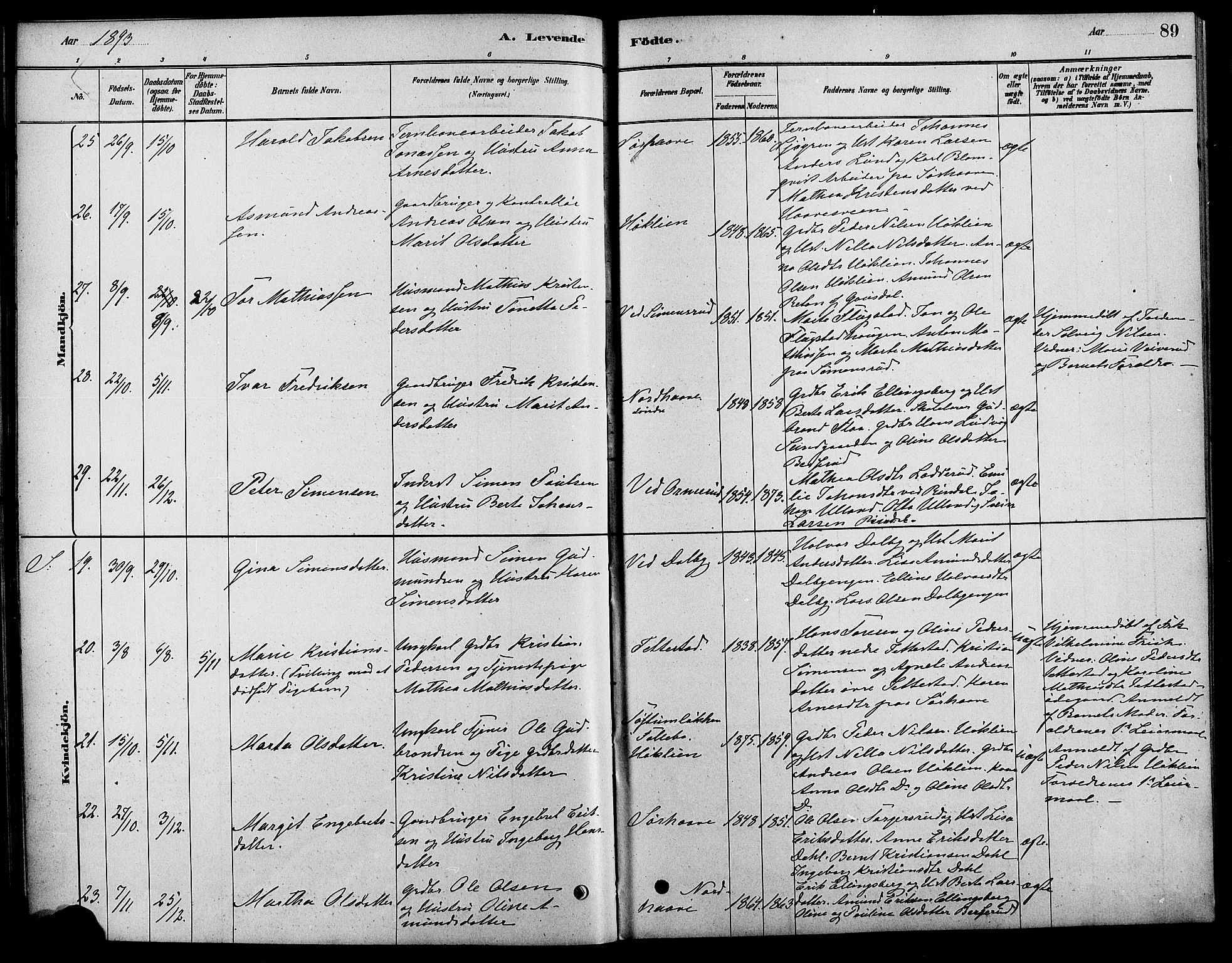 Fåberg prestekontor, SAH/PREST-086/H/Ha/Haa/L0008: Parish register (official) no. 8, 1879-1898, p. 89