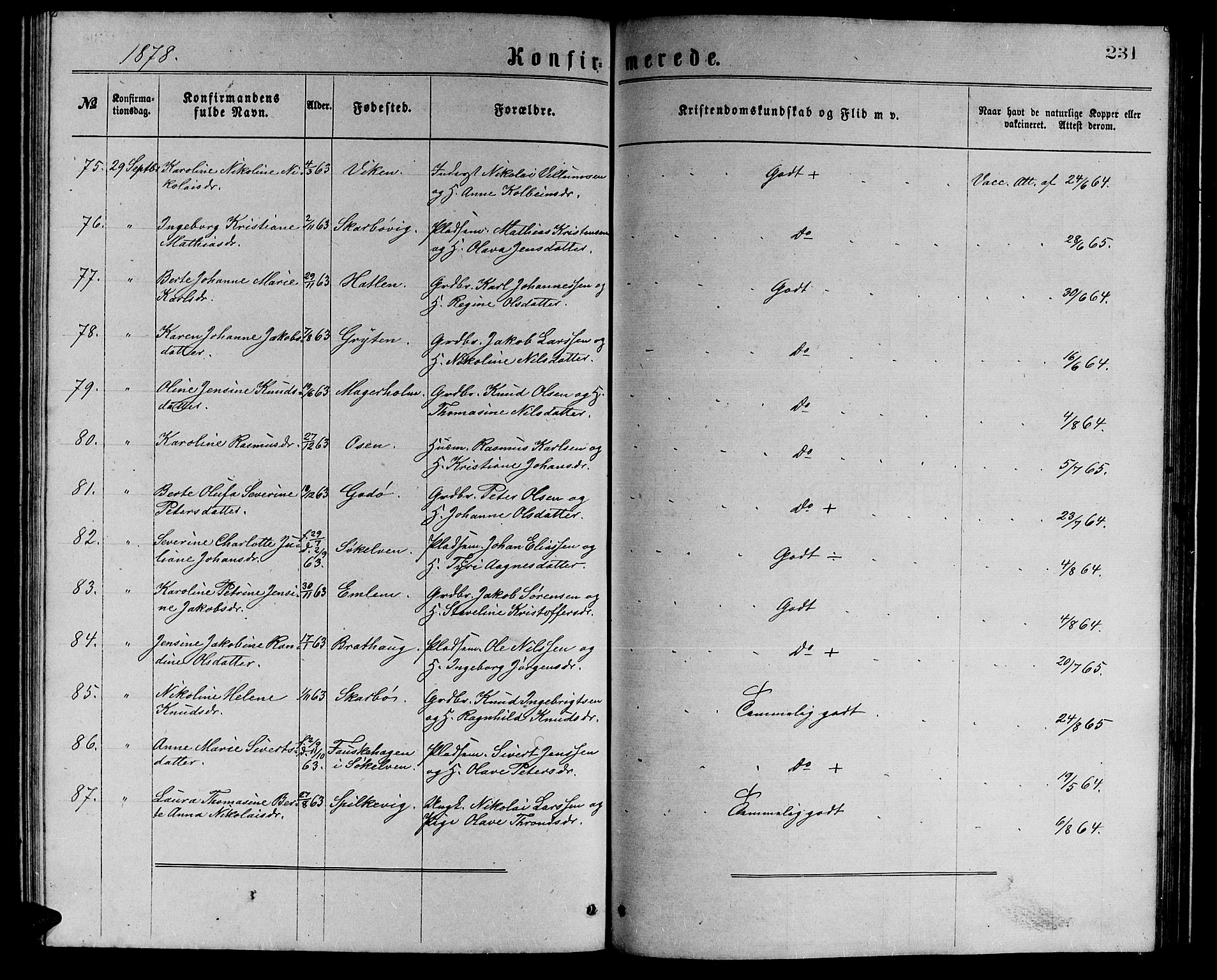 Ministerialprotokoller, klokkerbøker og fødselsregistre - Møre og Romsdal, AV/SAT-A-1454/528/L0429: Parish register (copy) no. 528C10, 1872-1886, p. 231