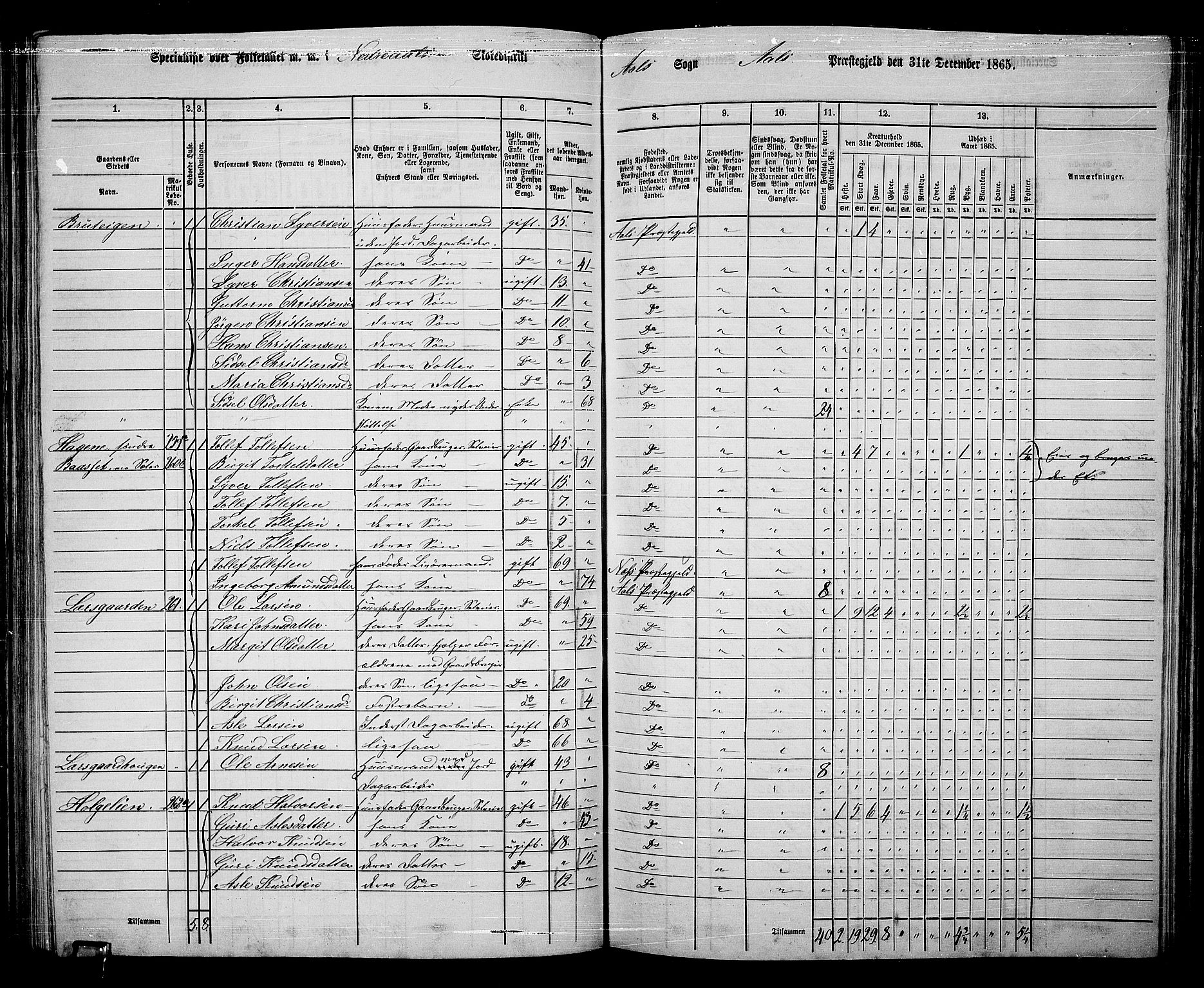 RA, 1865 census for Ål, 1865, p. 143