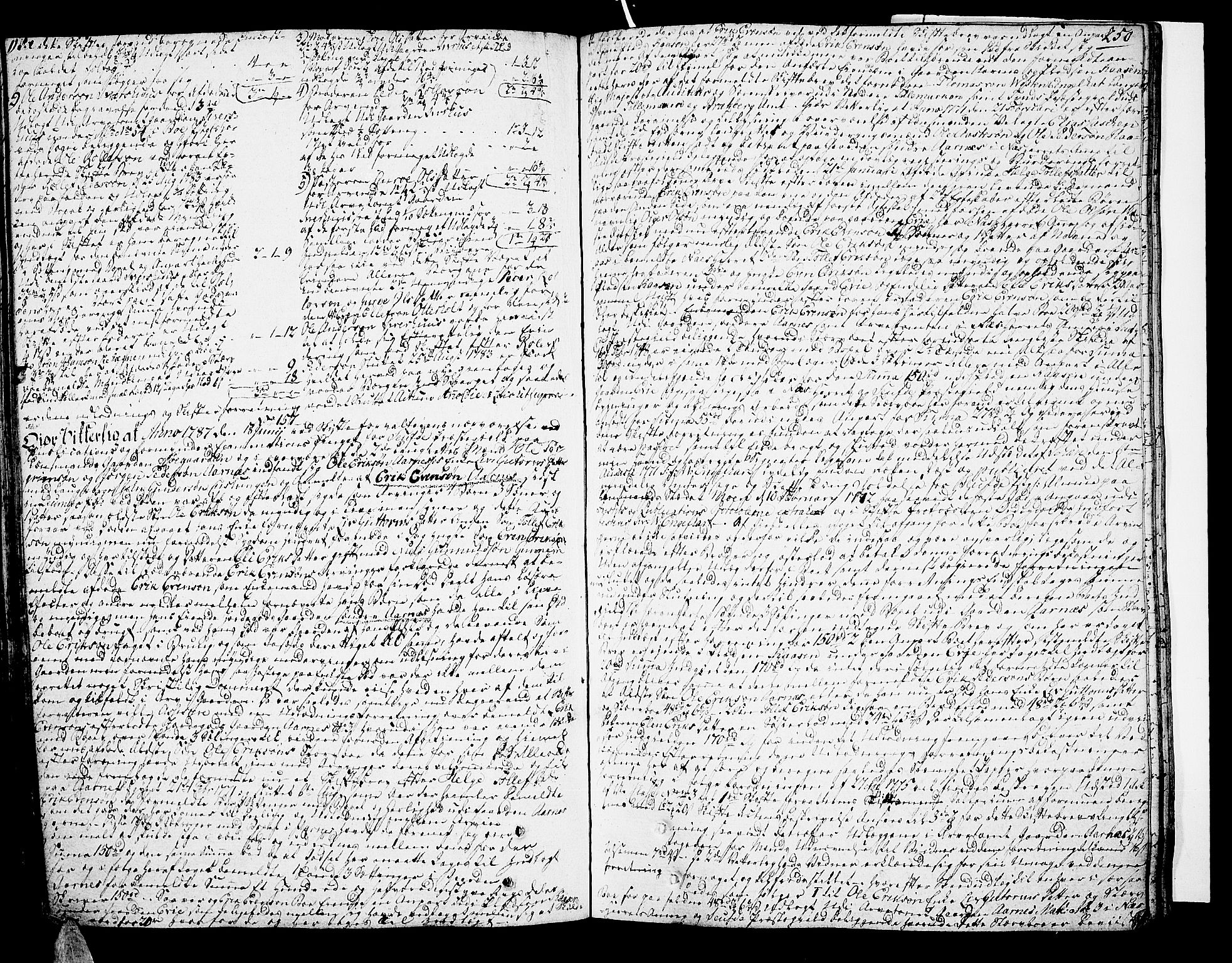 Nedre Telemark sorenskriveri, AV/SAKO-A-135/H/Hb/Hba/L0016a: Skifteprotokoll, 1785-1792, p. 249b-250a