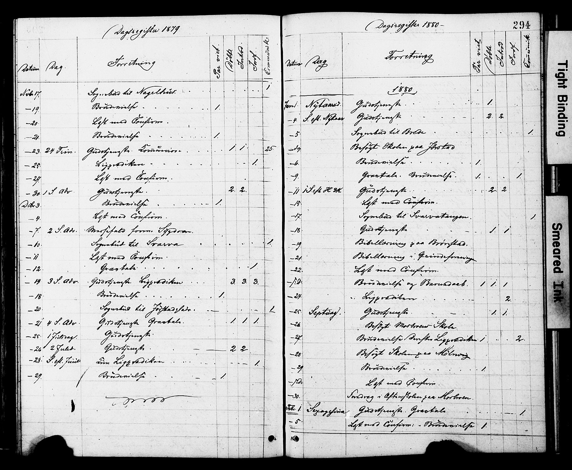 Ministerialprotokoller, klokkerbøker og fødselsregistre - Nord-Trøndelag, SAT/A-1458/749/L0473: Parish register (official) no. 749A07, 1873-1887, p. 294