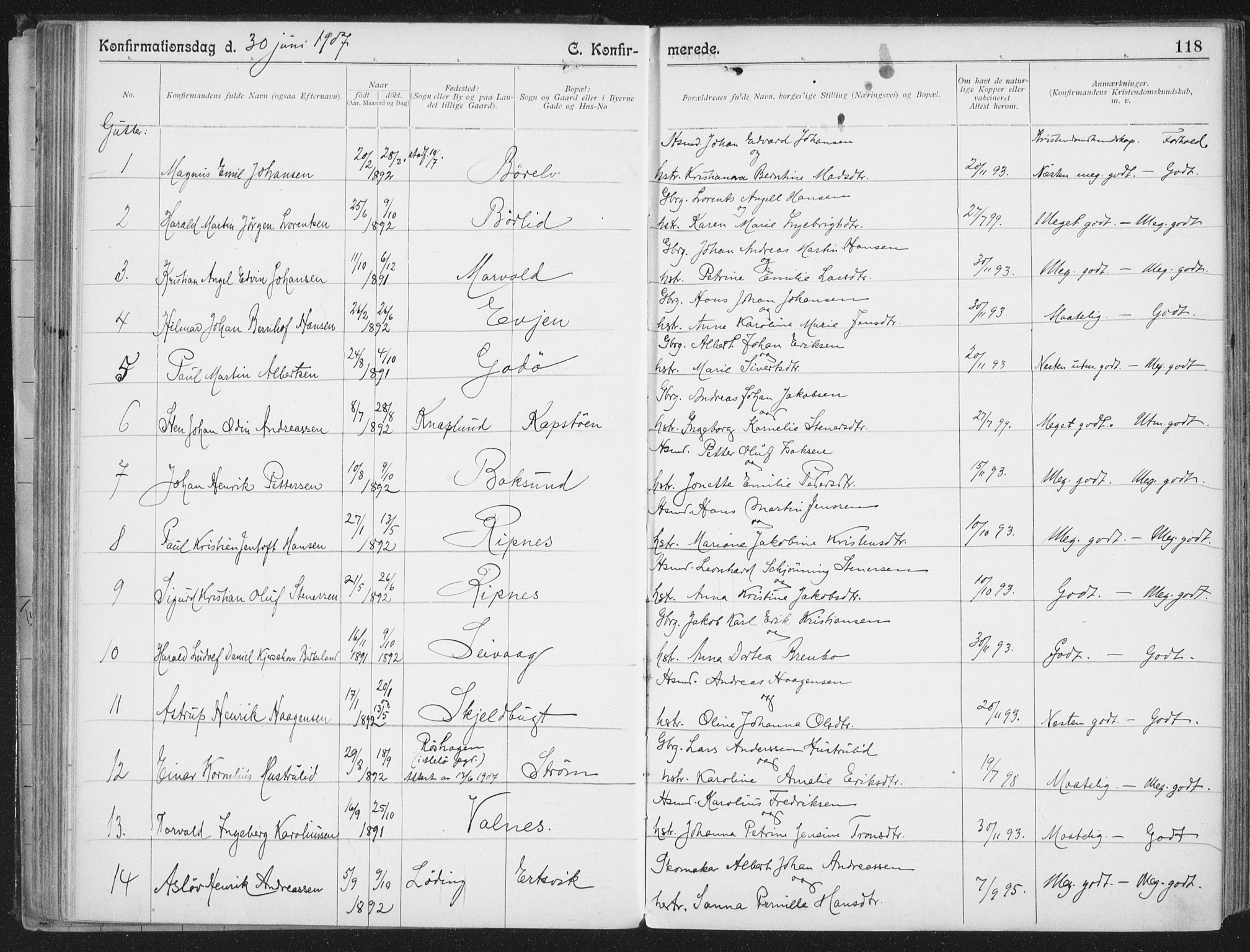 Ministerialprotokoller, klokkerbøker og fødselsregistre - Nordland, SAT/A-1459/804/L0081: Parish register (official) no. 804A02, 1901-1915, p. 118