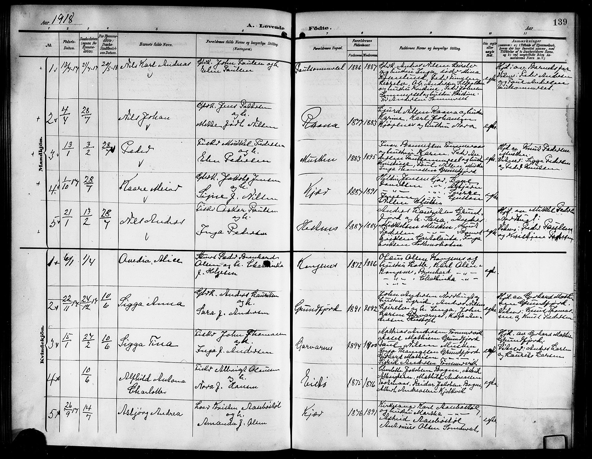 Ministerialprotokoller, klokkerbøker og fødselsregistre - Nordland, AV/SAT-A-1459/861/L0877: Parish register (copy) no. 861C03, 1903-1919, p. 139