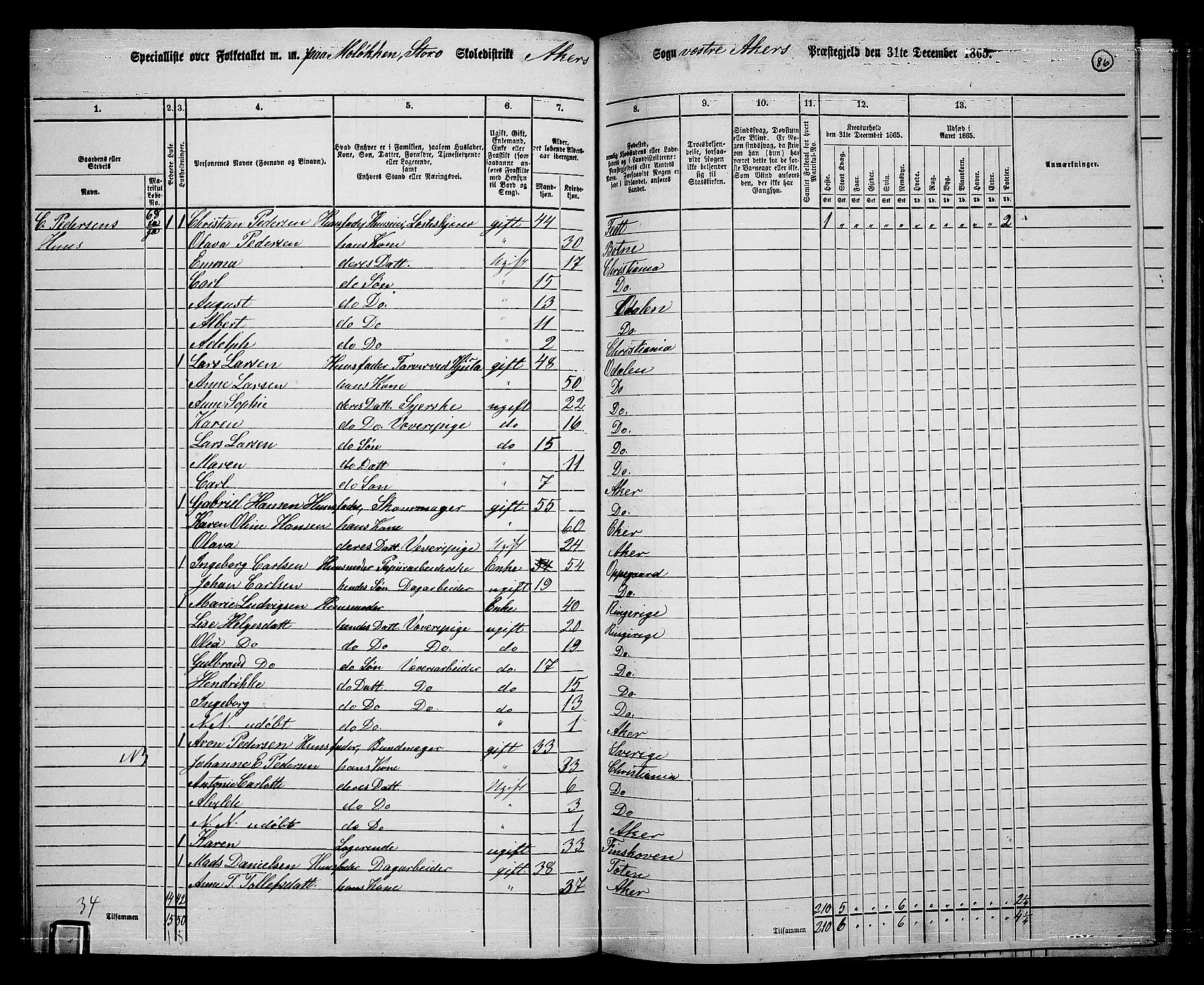 RA, 1865 census for Vestre Aker, 1865, p. 254