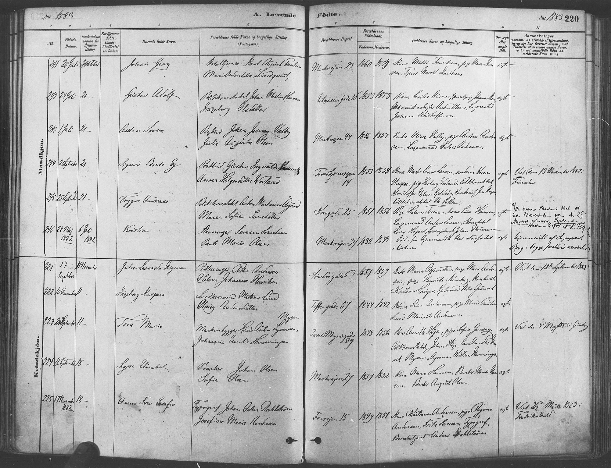 Paulus prestekontor Kirkebøker, AV/SAO-A-10871/F/Fa/L0003: Parish register (official) no. 3, 1879-1887, p. 220