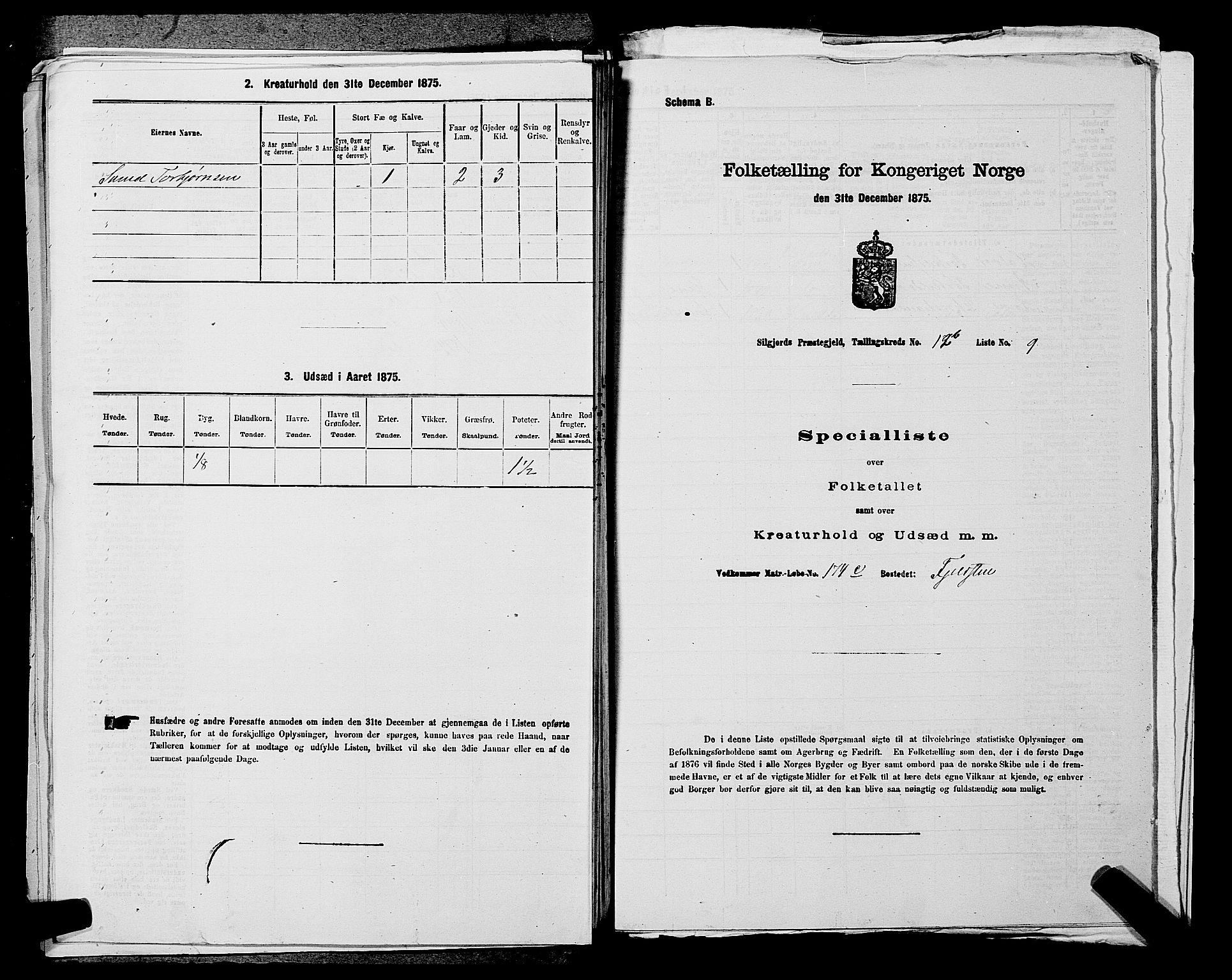 SAKO, 1875 census for 0828P Seljord, 1875, p. 1372