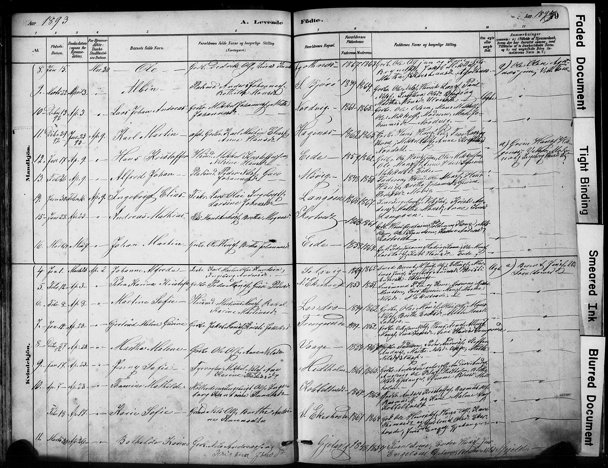 Fjell sokneprestembete, AV/SAB-A-75301/H/Hab: Parish register (copy) no. A 4, 1880-1899, p. 79