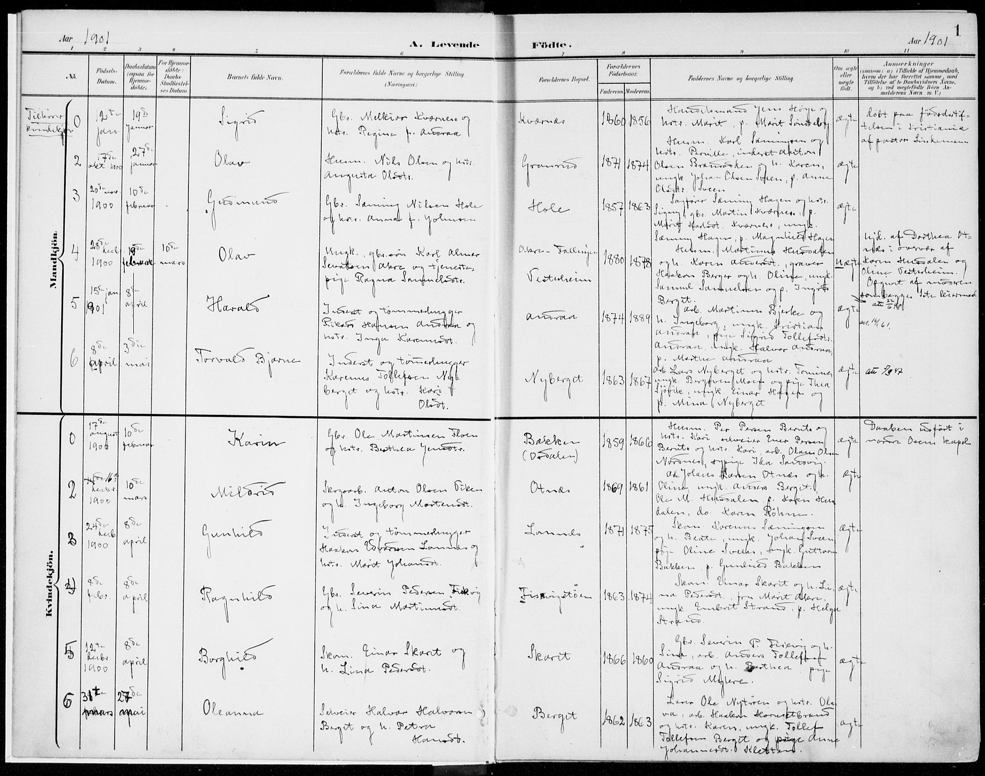 Rendalen prestekontor, SAH/PREST-054/H/Ha/Haa/L0011: Parish register (official) no. 11, 1901-1925, p. 1