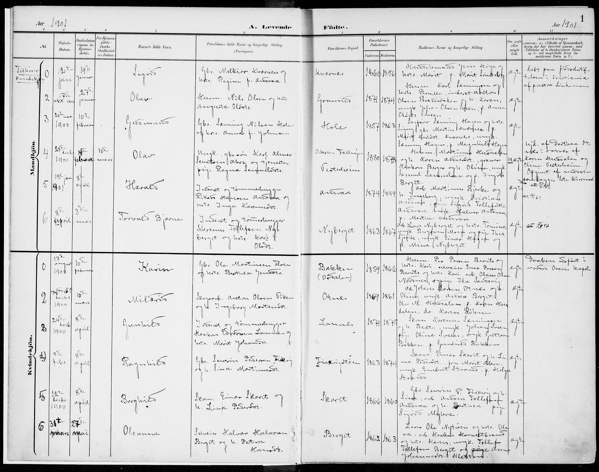 Rendalen prestekontor, AV/SAH-PREST-054/H/Ha/Haa/L0011: Parish register (official) no. 11, 1901-1925, p. 1