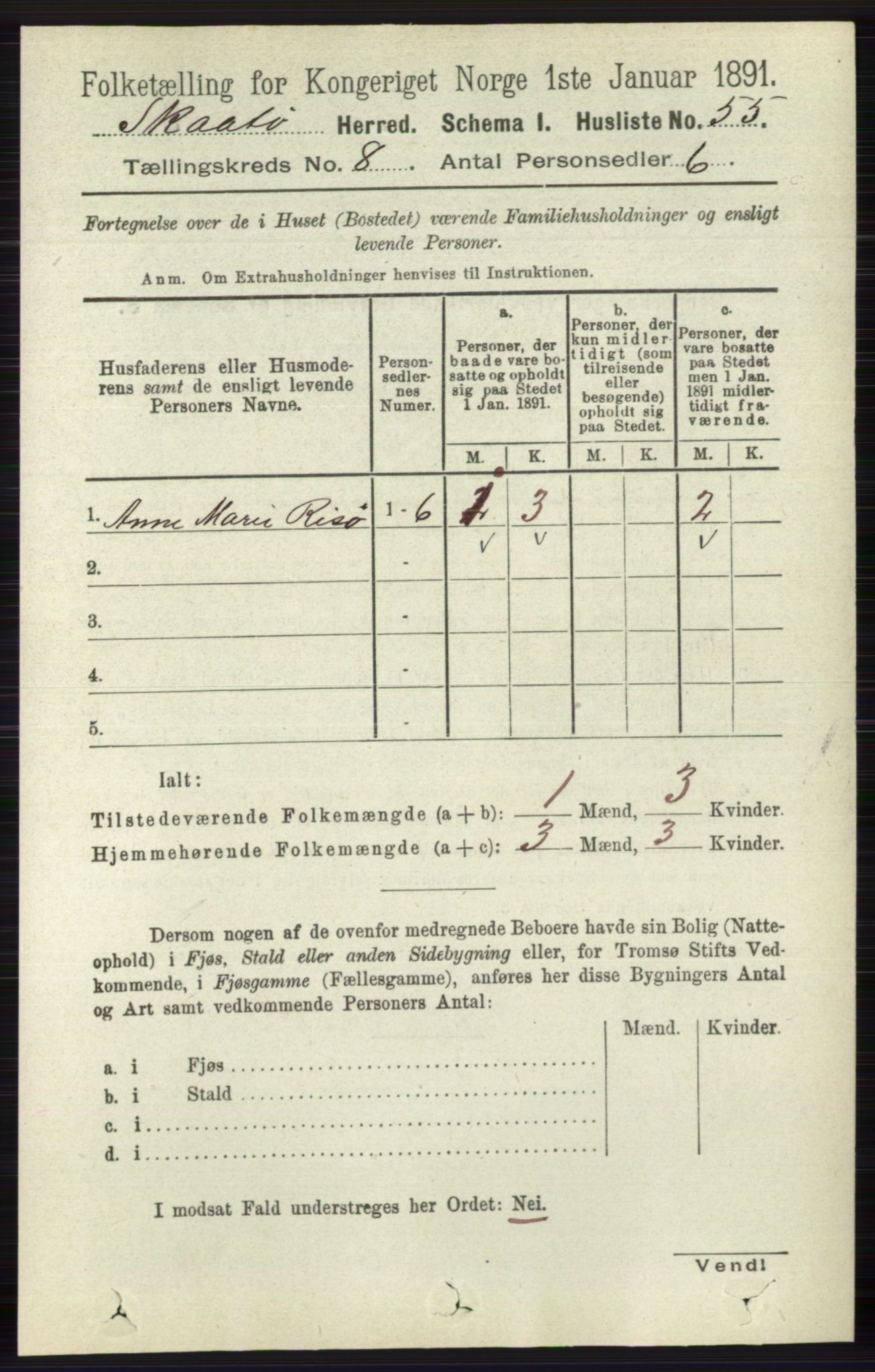 RA, 1891 census for 0815 Skåtøy, 1891, p. 3526