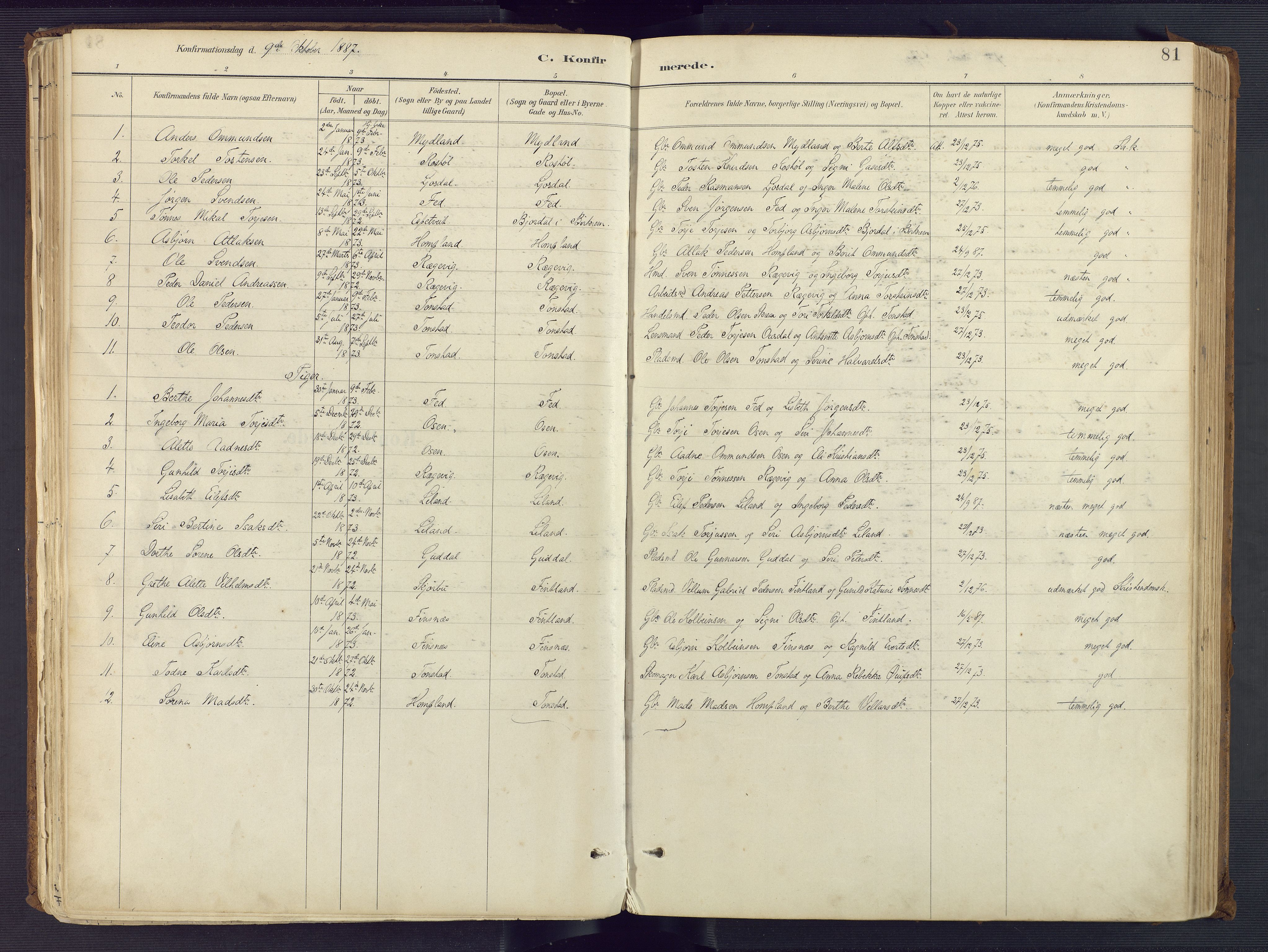Sirdal sokneprestkontor, SAK/1111-0036/F/Fa/Fab/L0004: Parish register (official) no. A 4, 1887-1919, p. 81