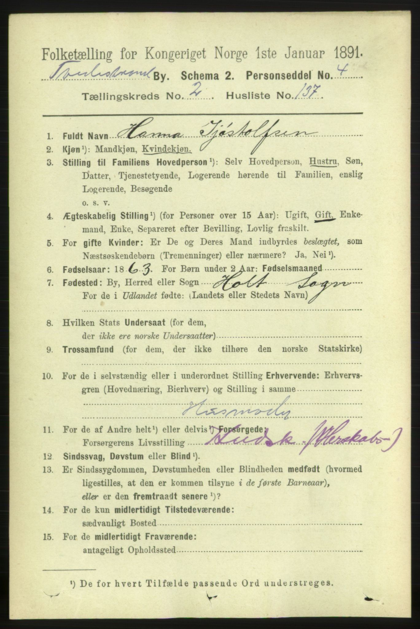 RA, 1891 census for 0902 Tvedestrand, 1891, p. 2442