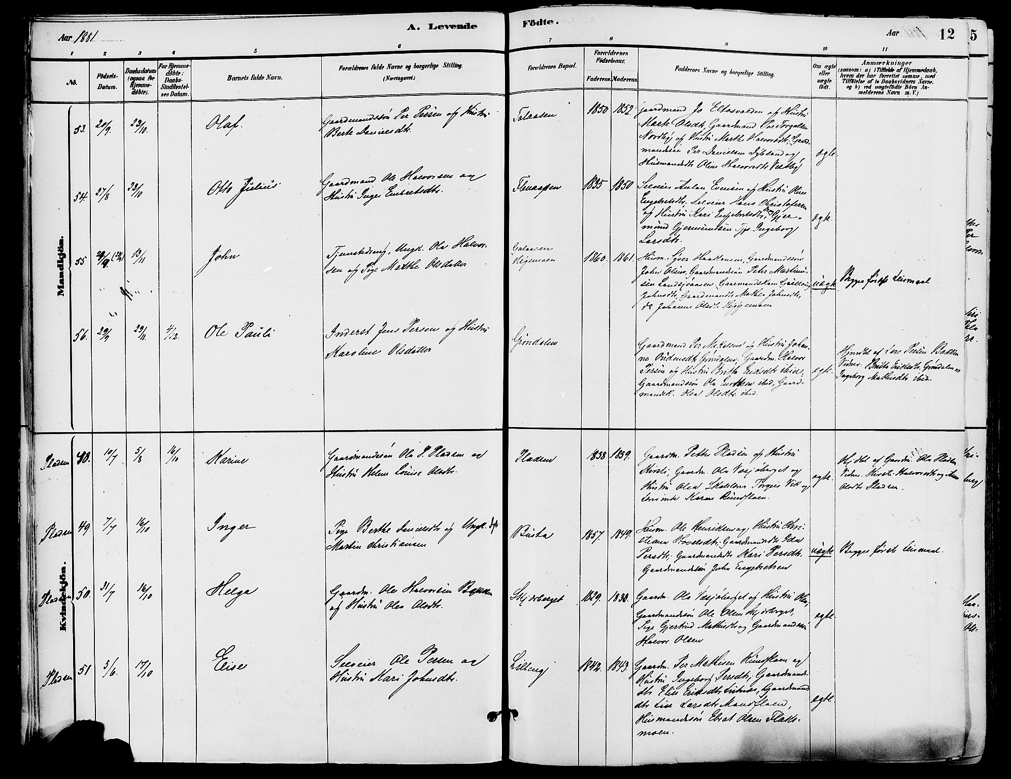 Trysil prestekontor, AV/SAH-PREST-046/H/Ha/Haa/L0008: Parish register (official) no. 8, 1881-1897, p. 12