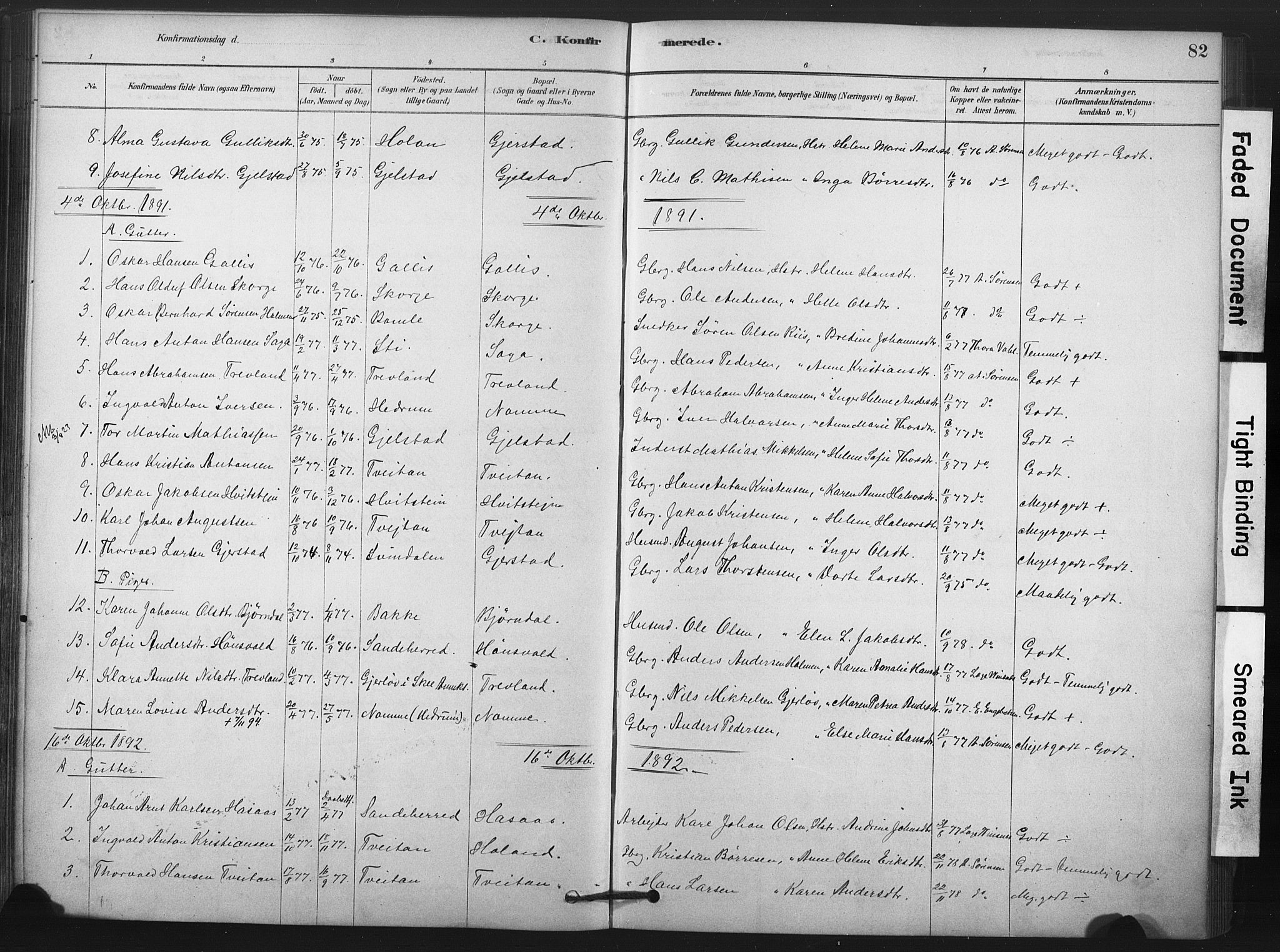 Andebu kirkebøker, AV/SAKO-A-336/F/Fa/L0008: Parish register (official) no. 8, 1878-1902, p. 82