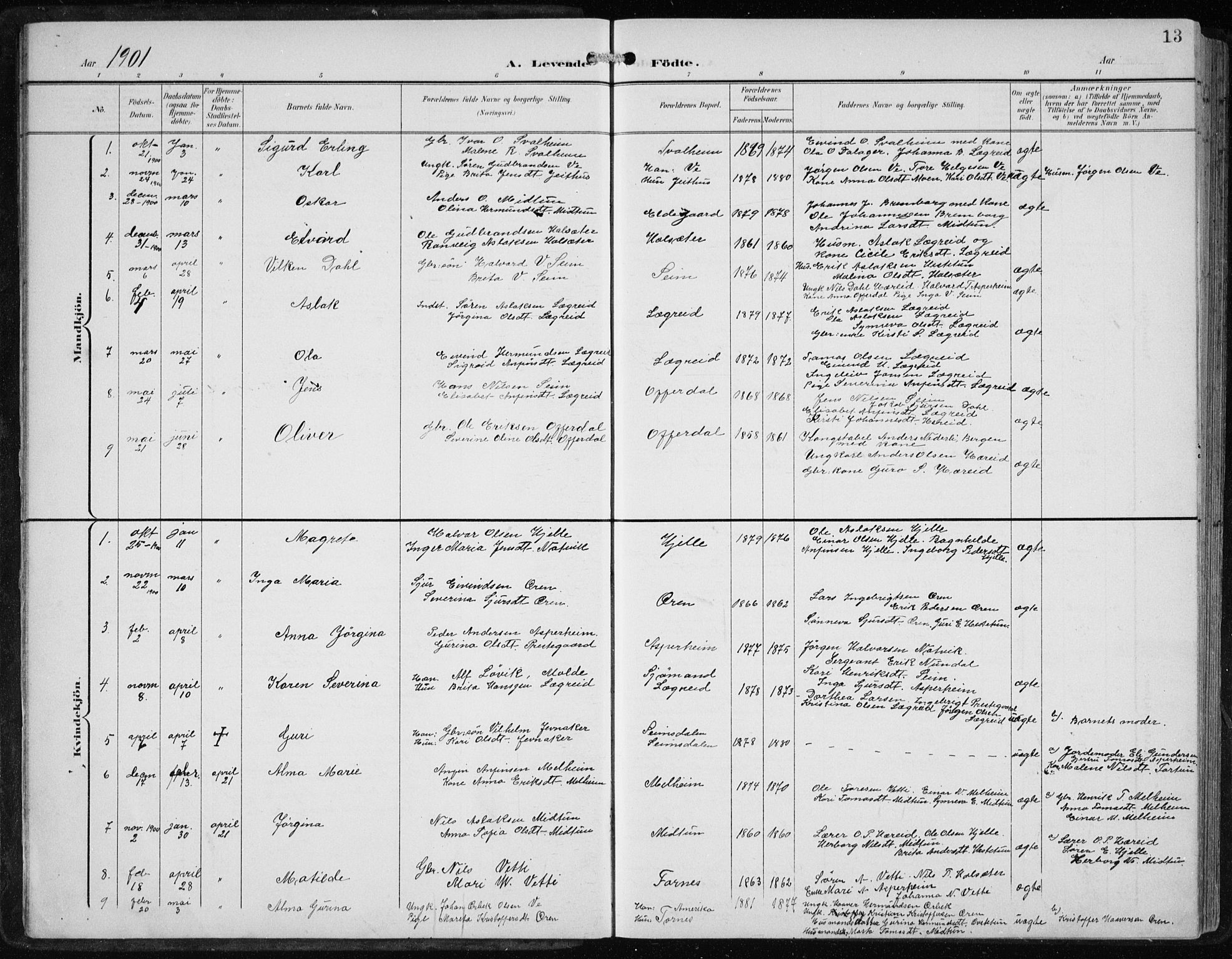Årdal sokneprestembete, AV/SAB-A-81701: Parish register (copy) no. A 2, 1899-1939, p. 13