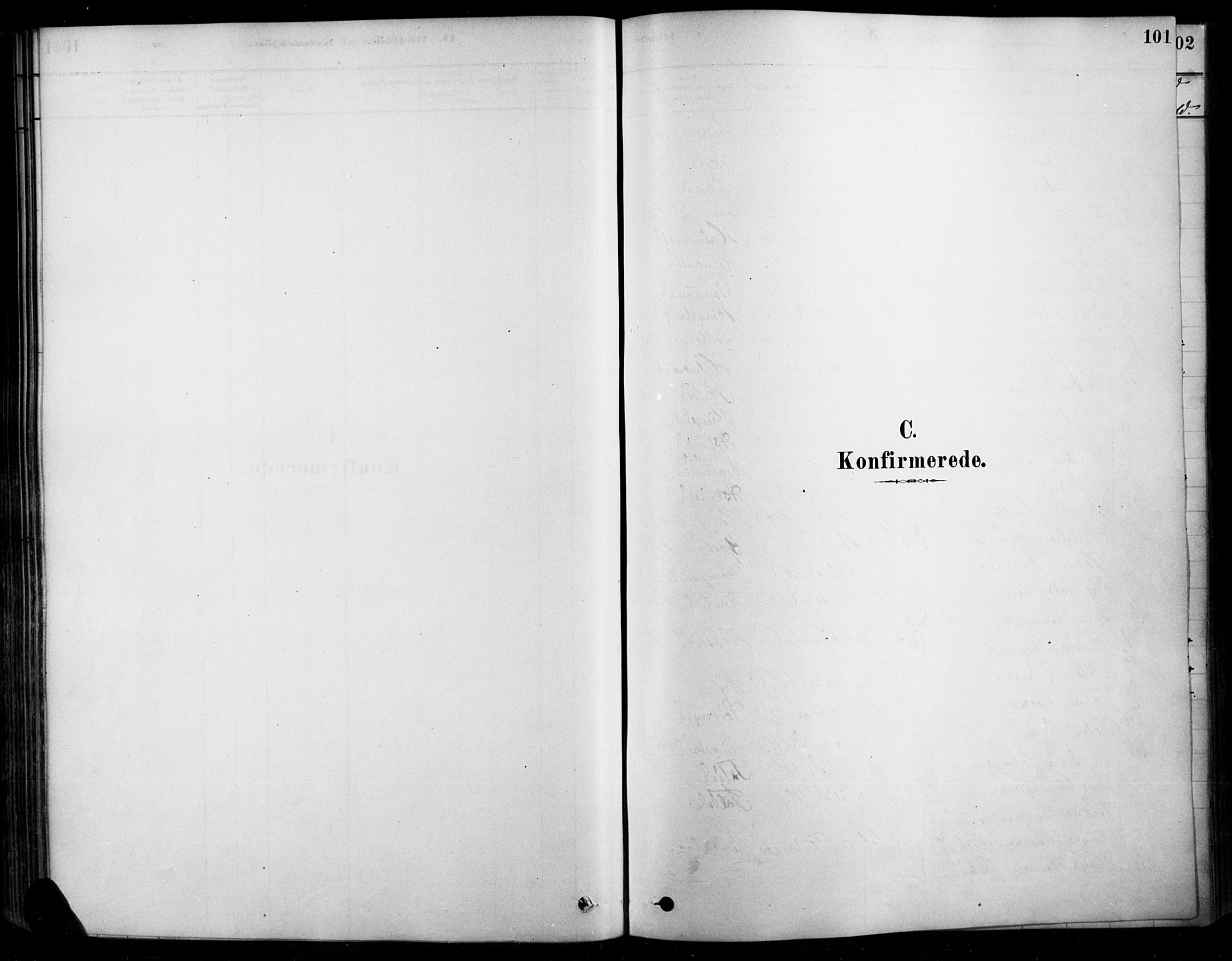 Søndre Land prestekontor, SAH/PREST-122/K/L0003: Parish register (official) no. 3, 1878-1894, p. 101