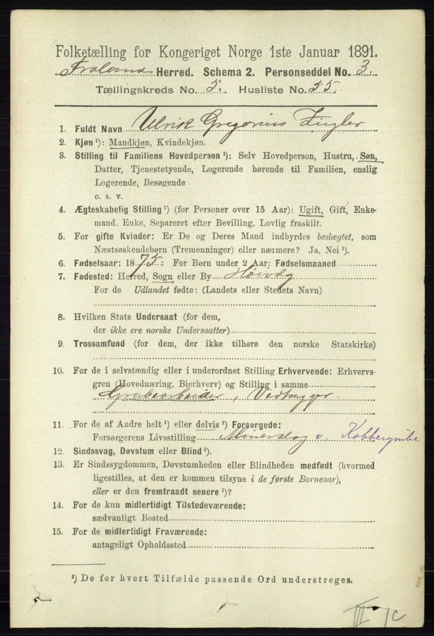 RA, 1891 census for 0919 Froland, 1891, p. 2128