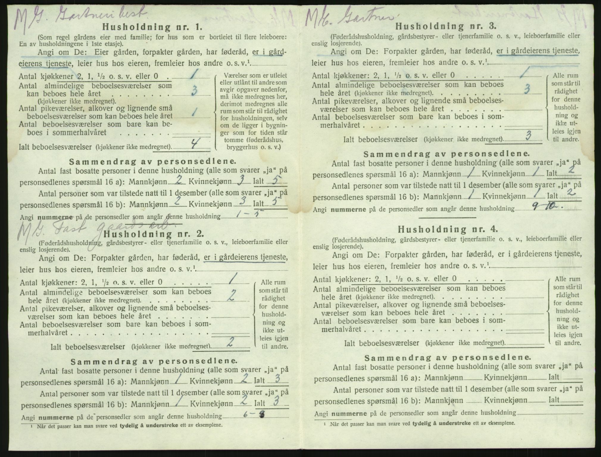 SAKO, 1920 census for Brunlanes, 1920, p. 300