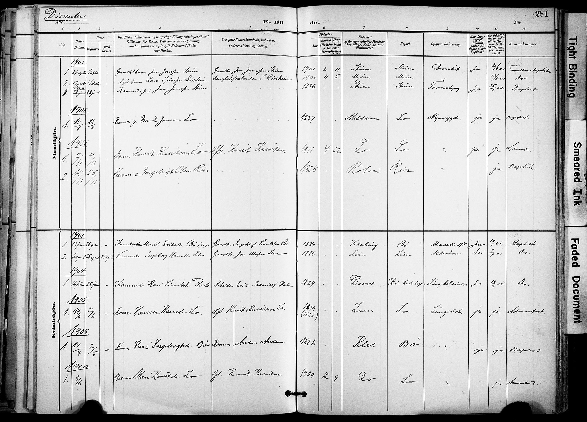 Ministerialprotokoller, klokkerbøker og fødselsregistre - Sør-Trøndelag, SAT/A-1456/678/L0902: Parish register (official) no. 678A11, 1895-1911, p. 281