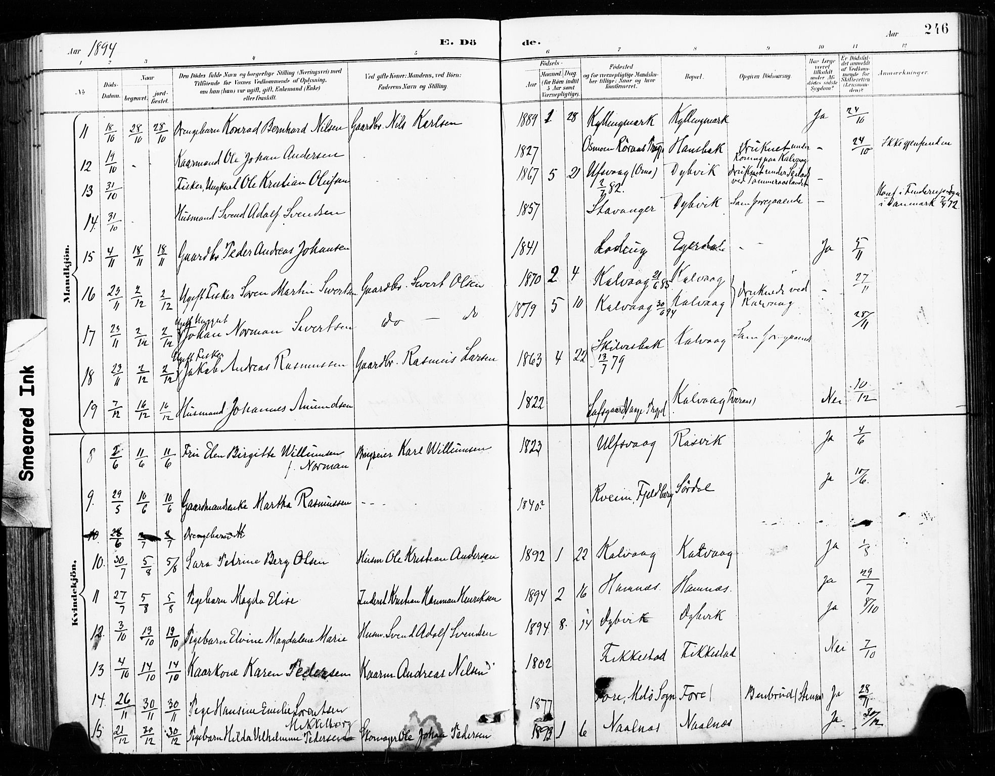 Ministerialprotokoller, klokkerbøker og fødselsregistre - Nordland, SAT/A-1459/859/L0847: Parish register (official) no. 859A07, 1890-1899, p. 246