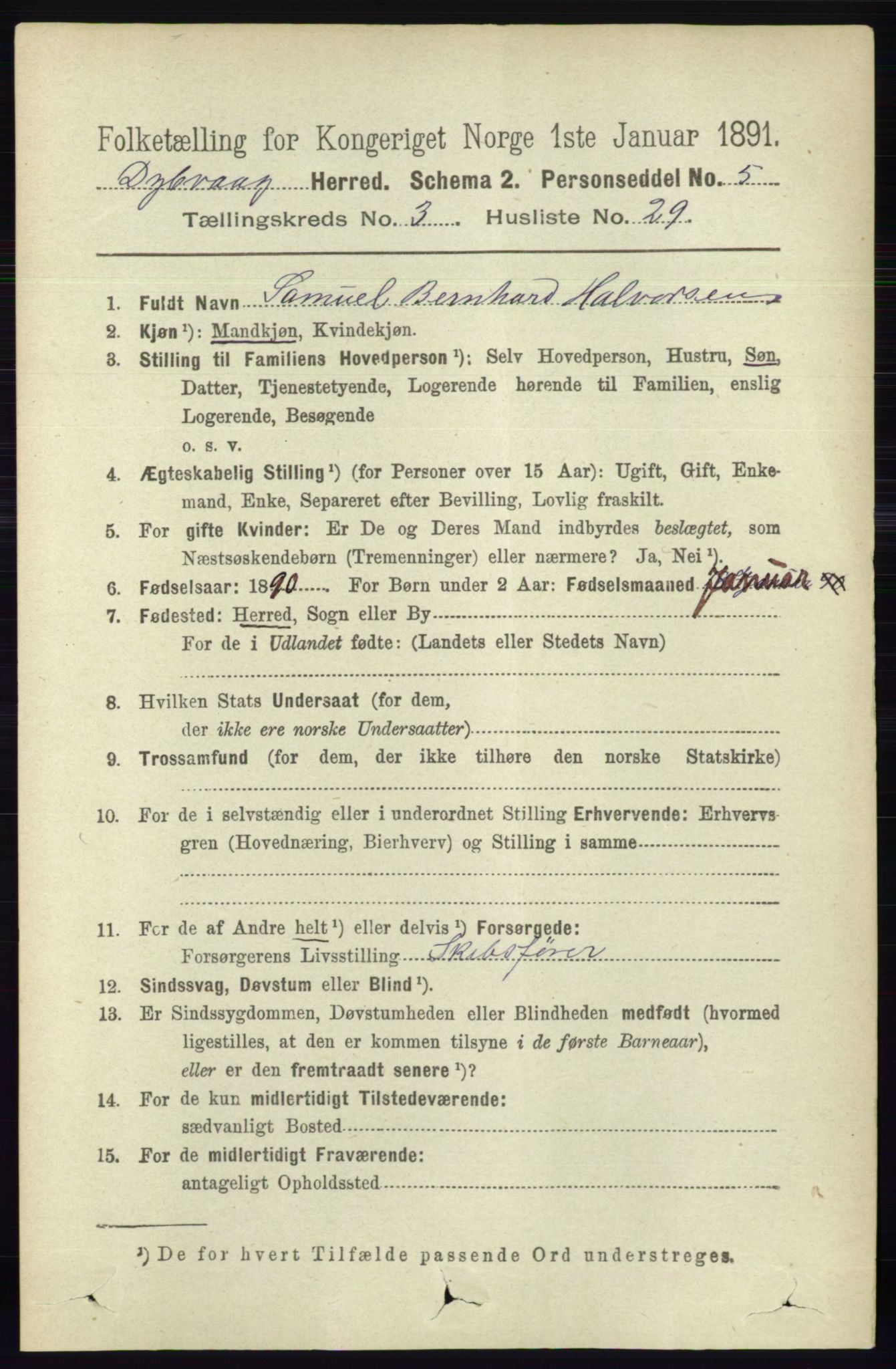 RA, 1891 census for 0915 Dypvåg, 1891, p. 961