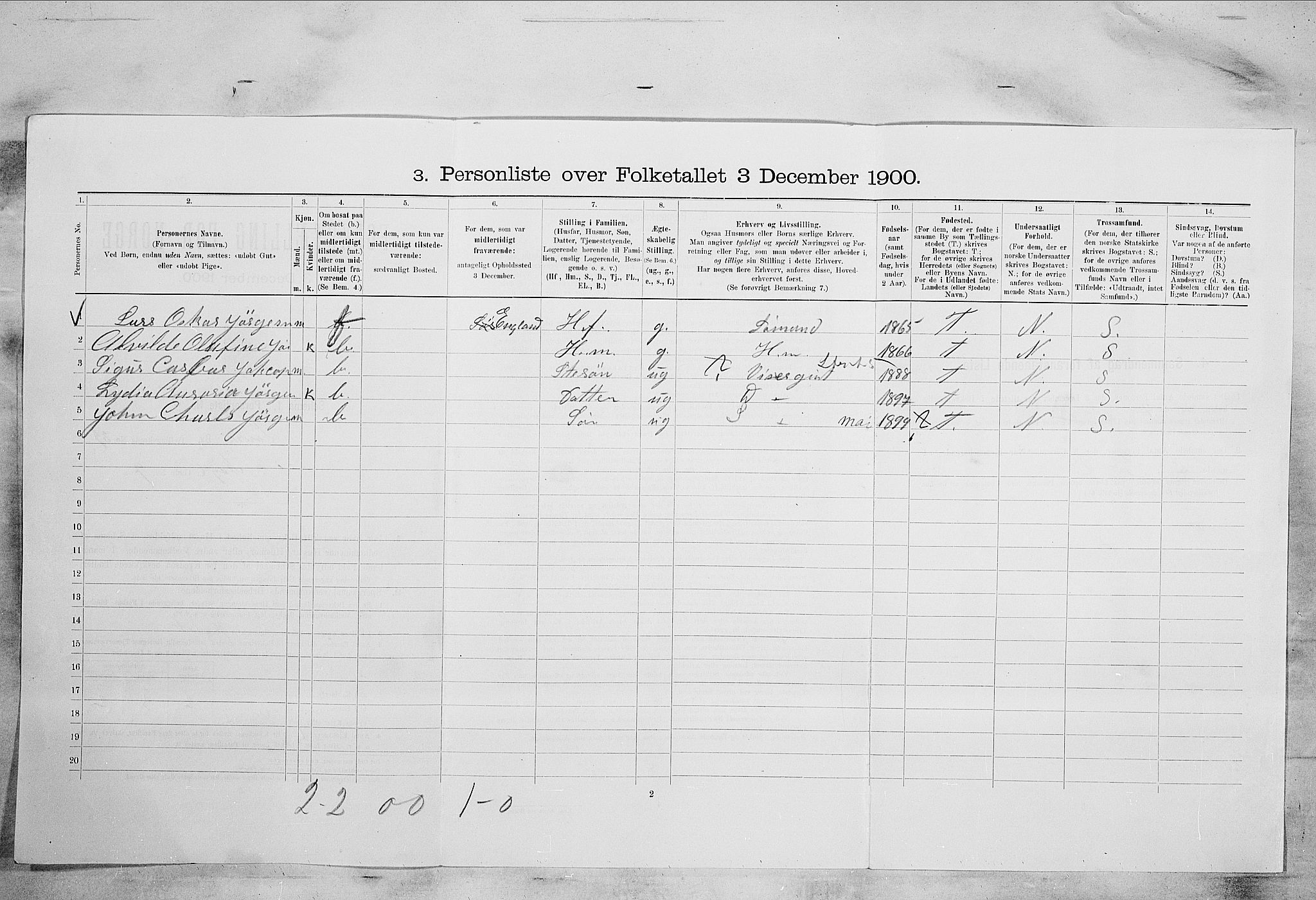 RA, 1900 census for Larvik, 1900, p. 5225
