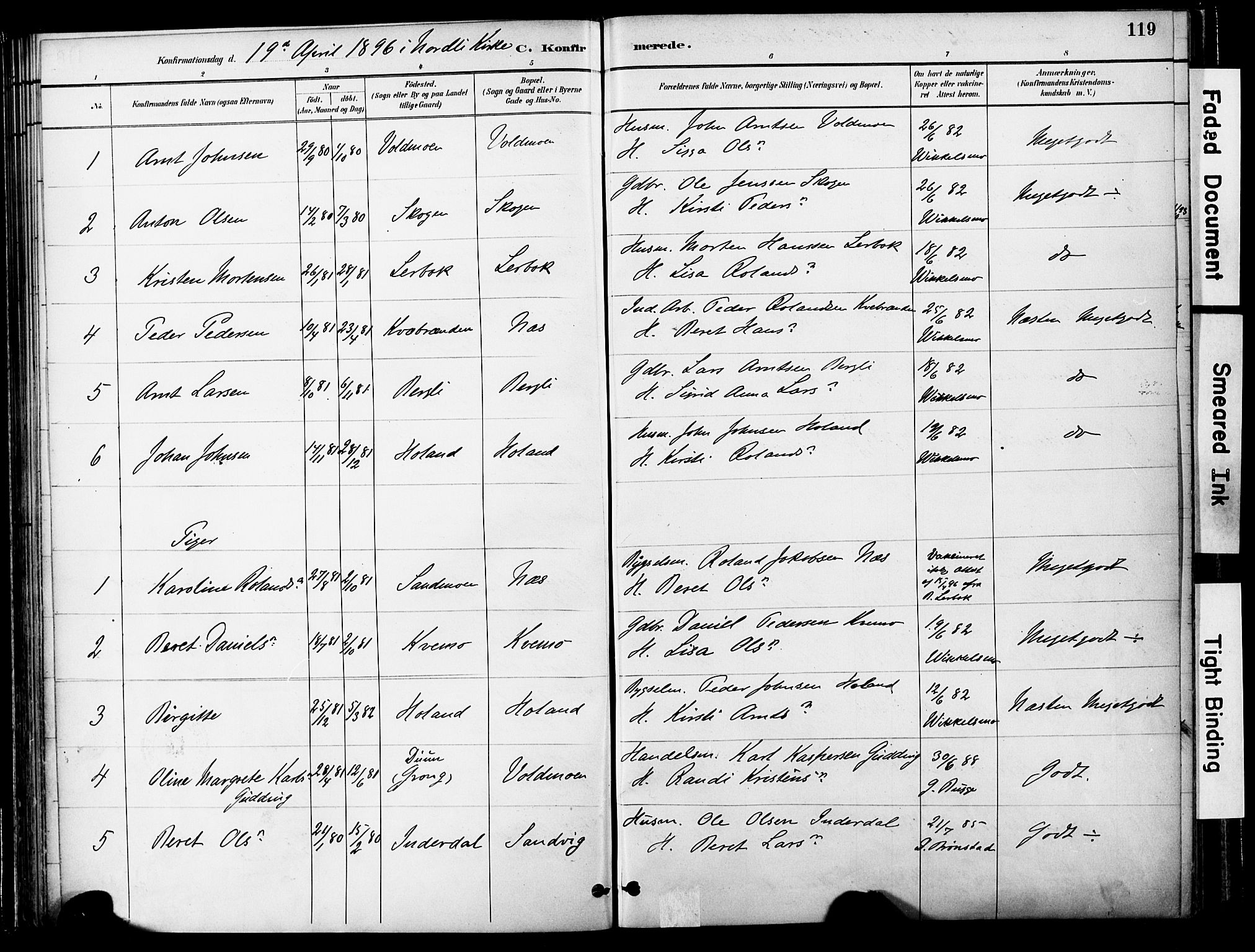 Ministerialprotokoller, klokkerbøker og fødselsregistre - Nord-Trøndelag, SAT/A-1458/755/L0494: Parish register (official) no. 755A03, 1882-1902, p. 119