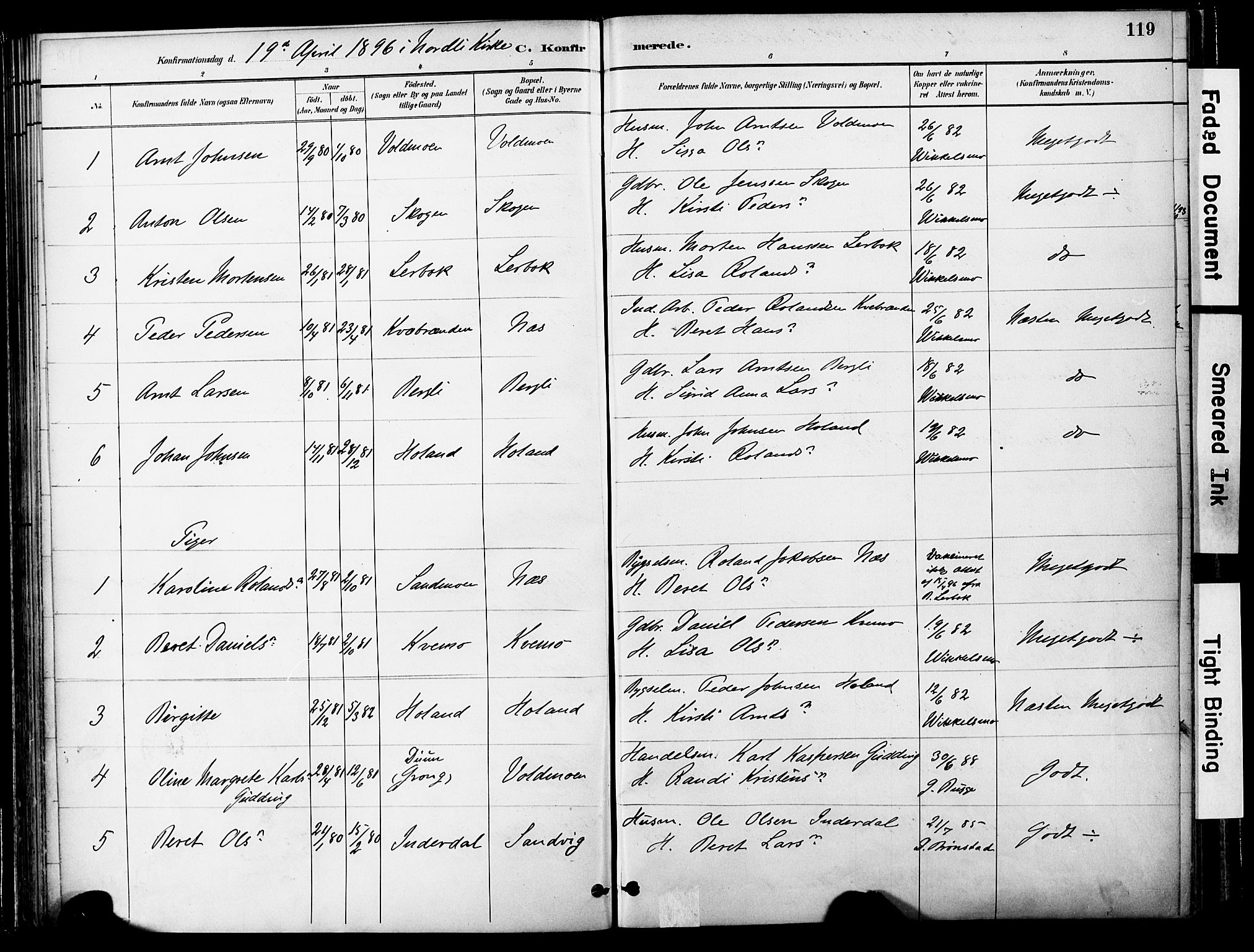 Ministerialprotokoller, klokkerbøker og fødselsregistre - Nord-Trøndelag, AV/SAT-A-1458/755/L0494: Parish register (official) no. 755A03, 1882-1902, p. 119