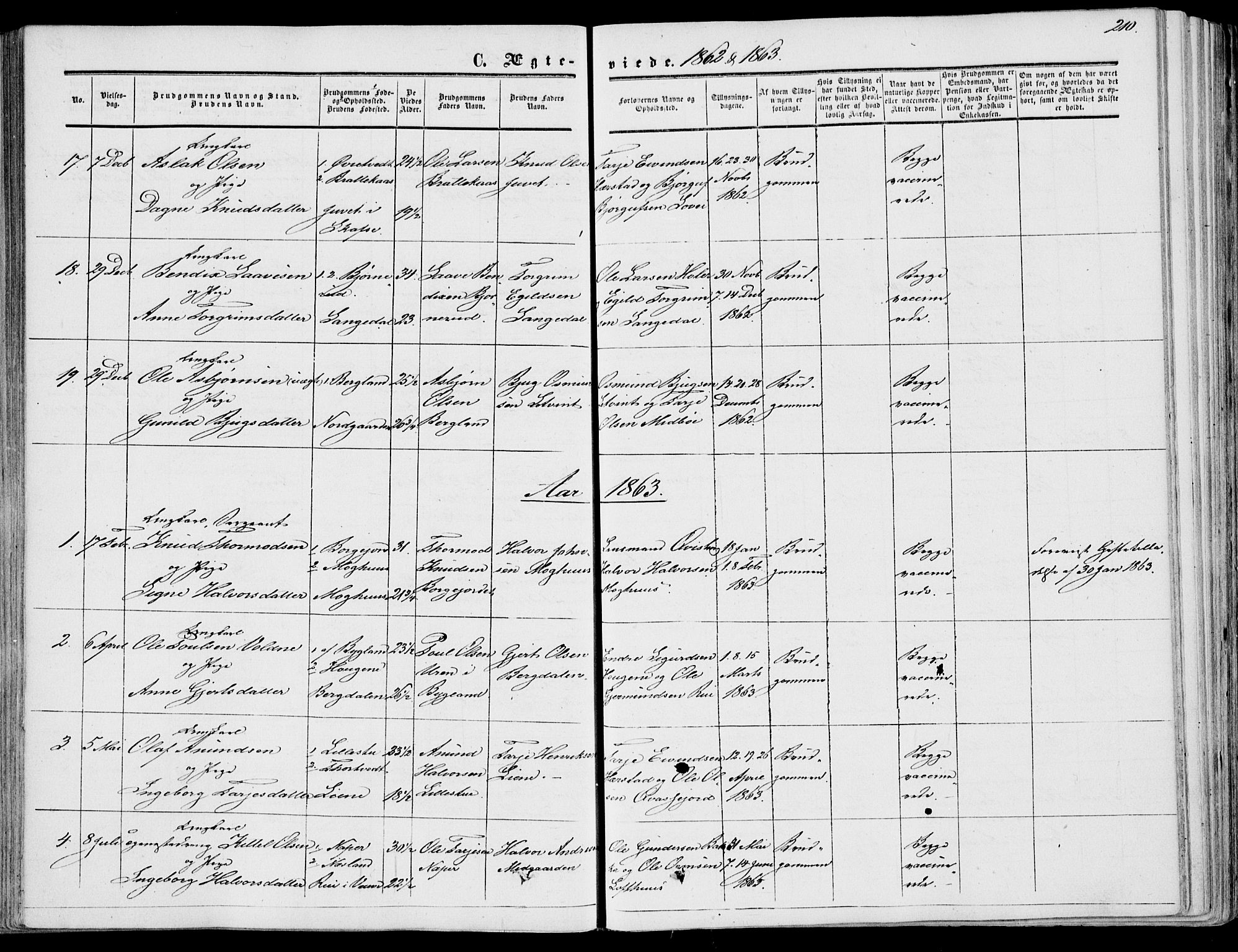 Fyresdal kirkebøker, SAKO/A-263/F/Fa/L0005: Parish register (official) no. I 5, 1855-1871, p. 210