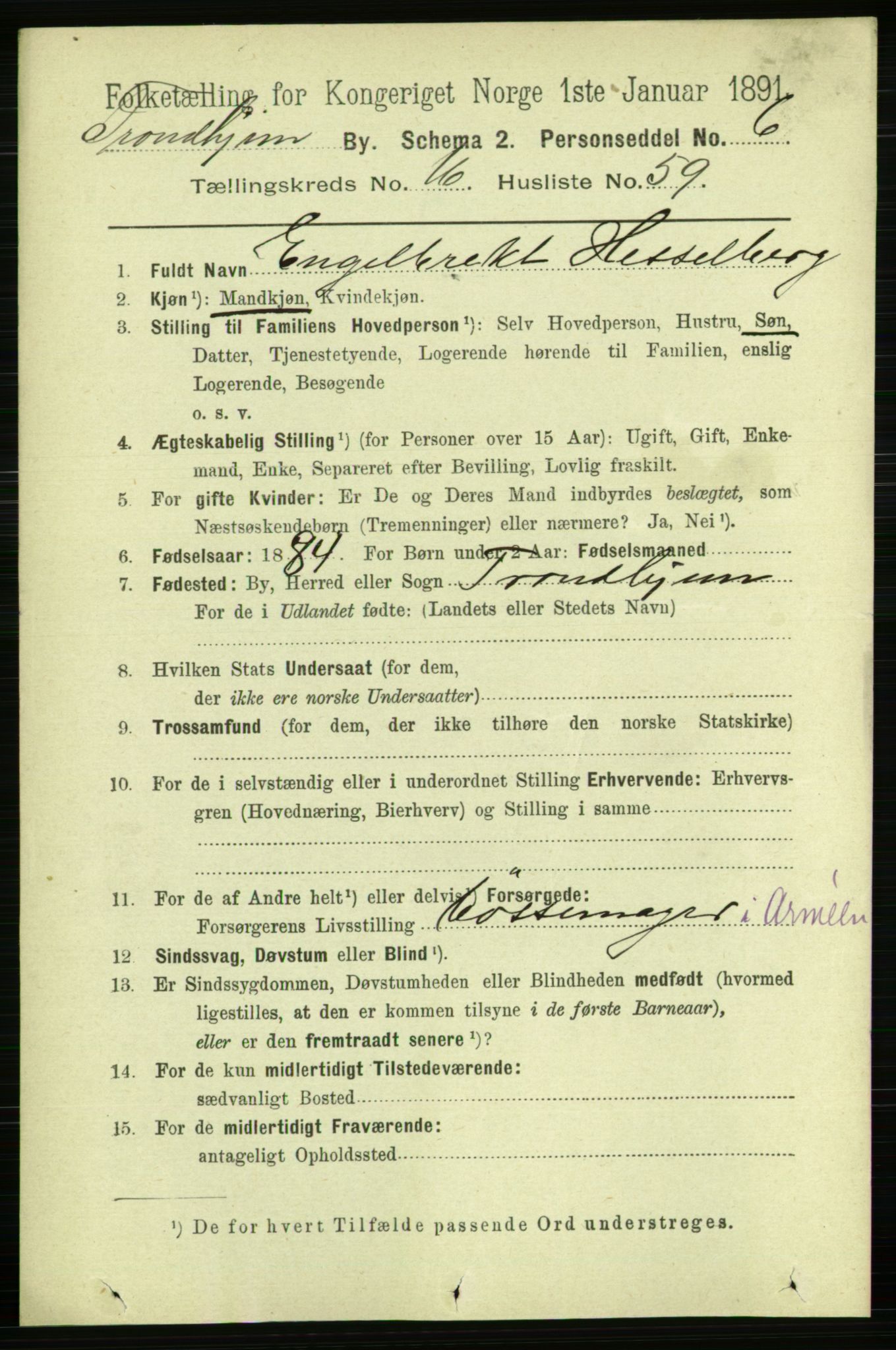 RA, 1891 census for 1601 Trondheim, 1891, p. 13005