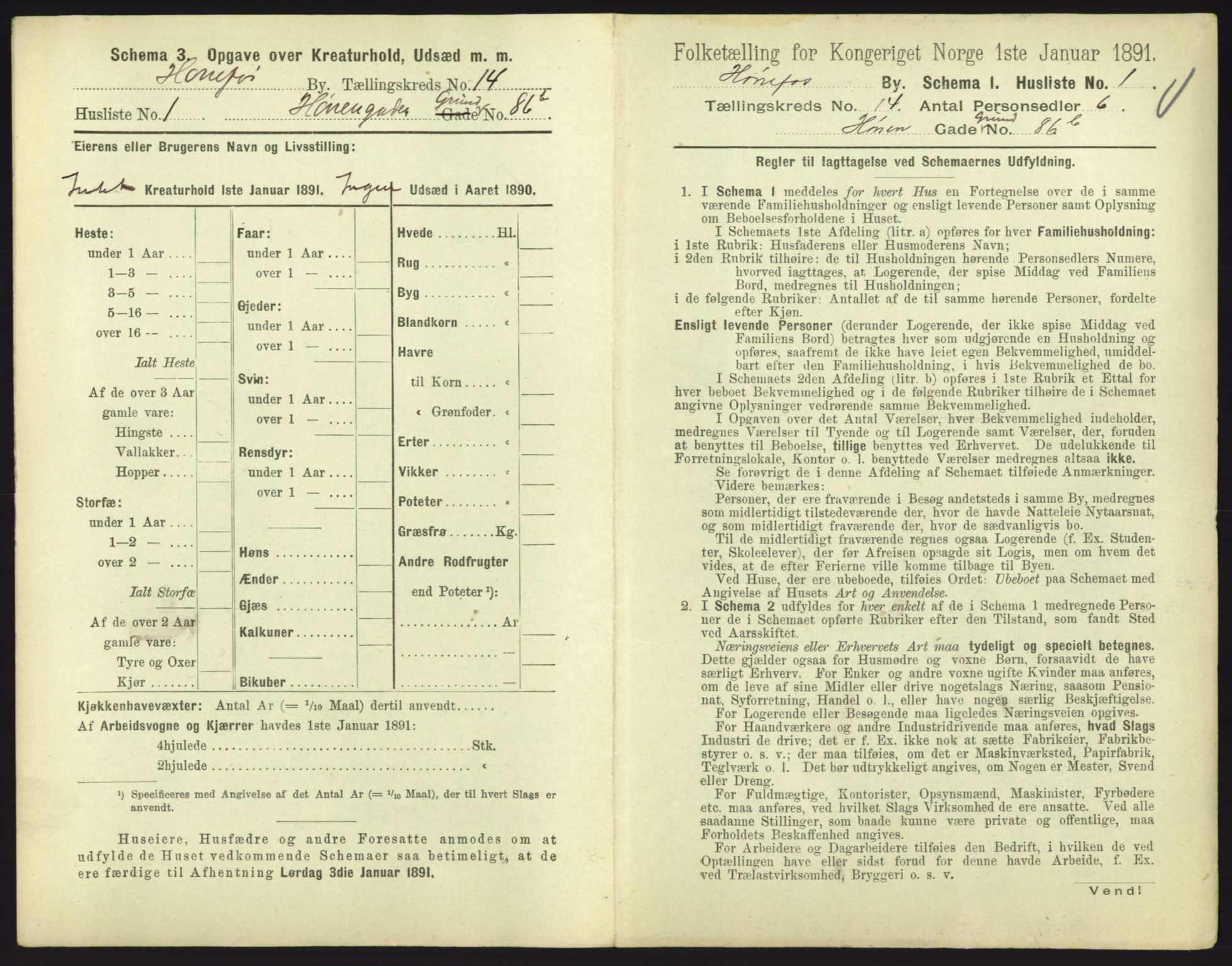 RA, 1891 census for 0601 Hønefoss, 1891, p. 303