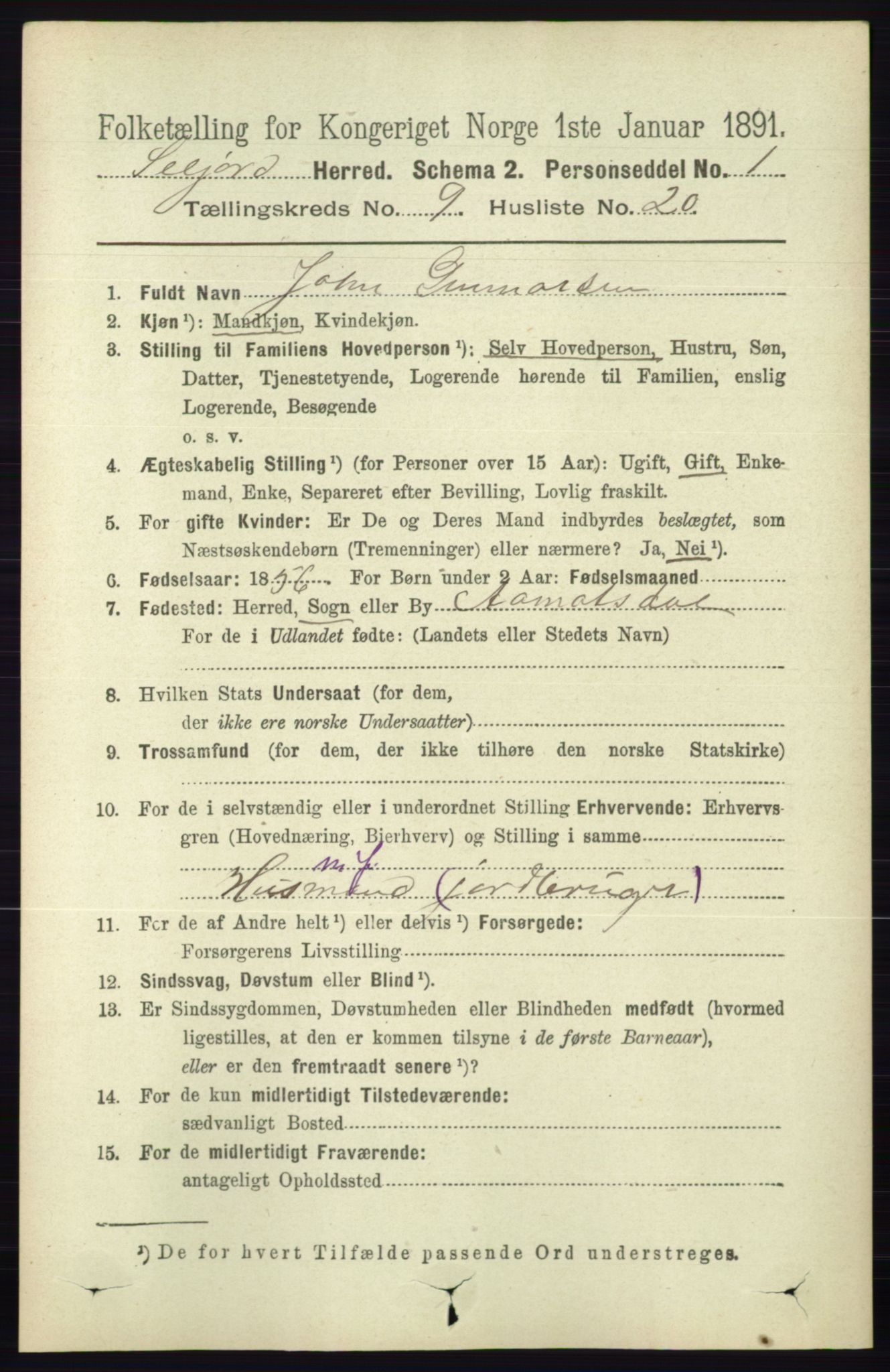 RA, 1891 census for 0828 Seljord, 1891, p. 3272