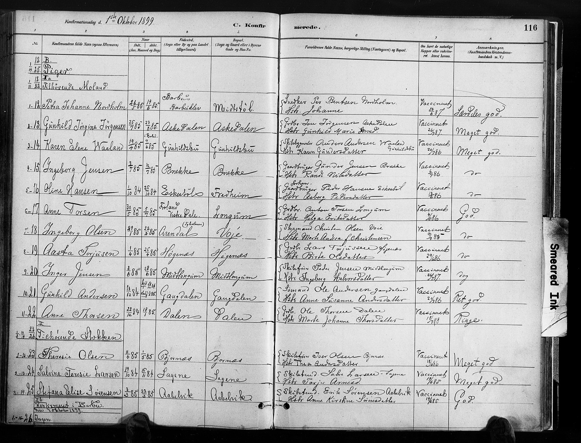 Austre Moland sokneprestkontor, AV/SAK-1111-0001/F/Fa/Faa/L0010: Parish register (official) no. A 10, 1880-1904, p. 116