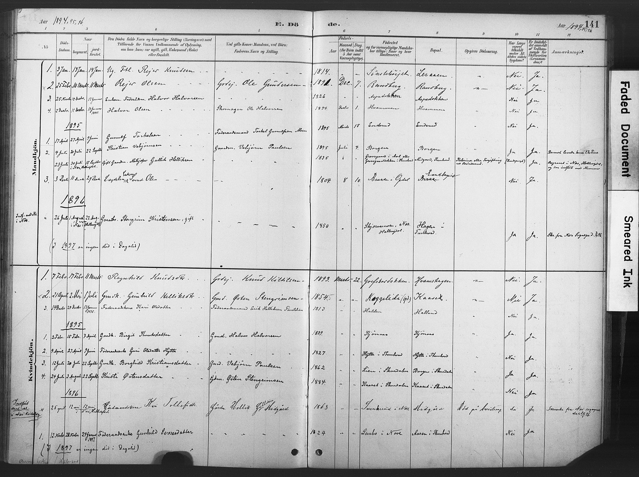 Nore kirkebøker, SAKO/A-238/F/Fd/L0001: Parish register (official) no. IV 1, 1878-1918, p. 141