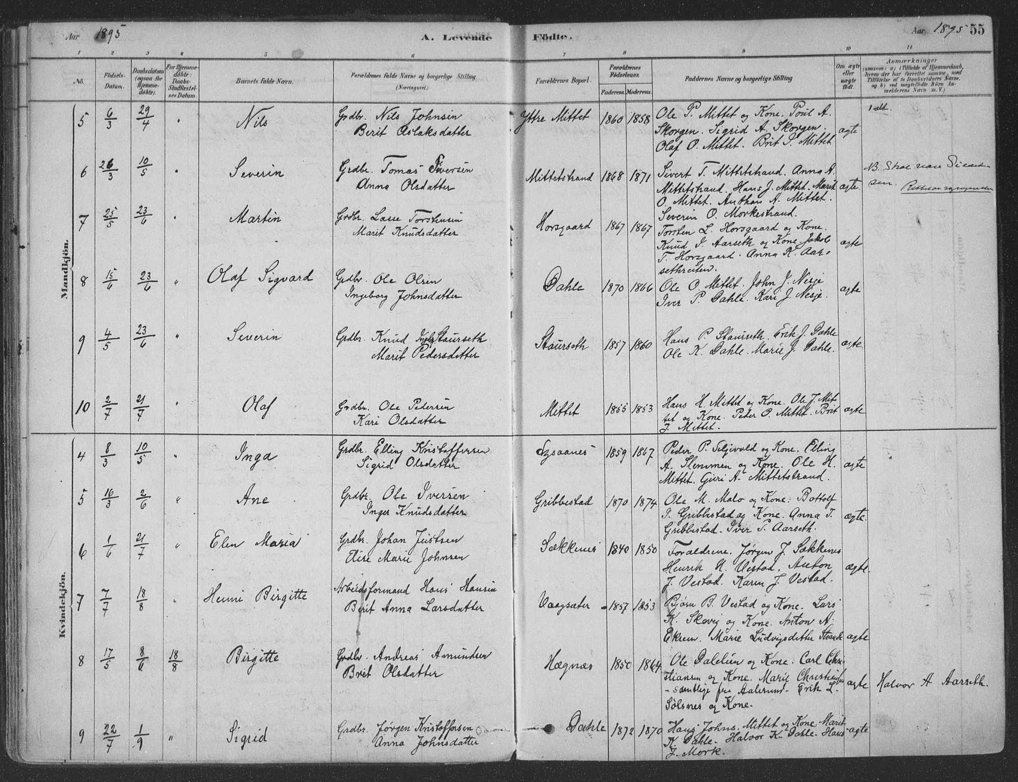 Ministerialprotokoller, klokkerbøker og fødselsregistre - Møre og Romsdal, AV/SAT-A-1454/547/L0604: Parish register (official) no. 547A06, 1878-1906, p. 55