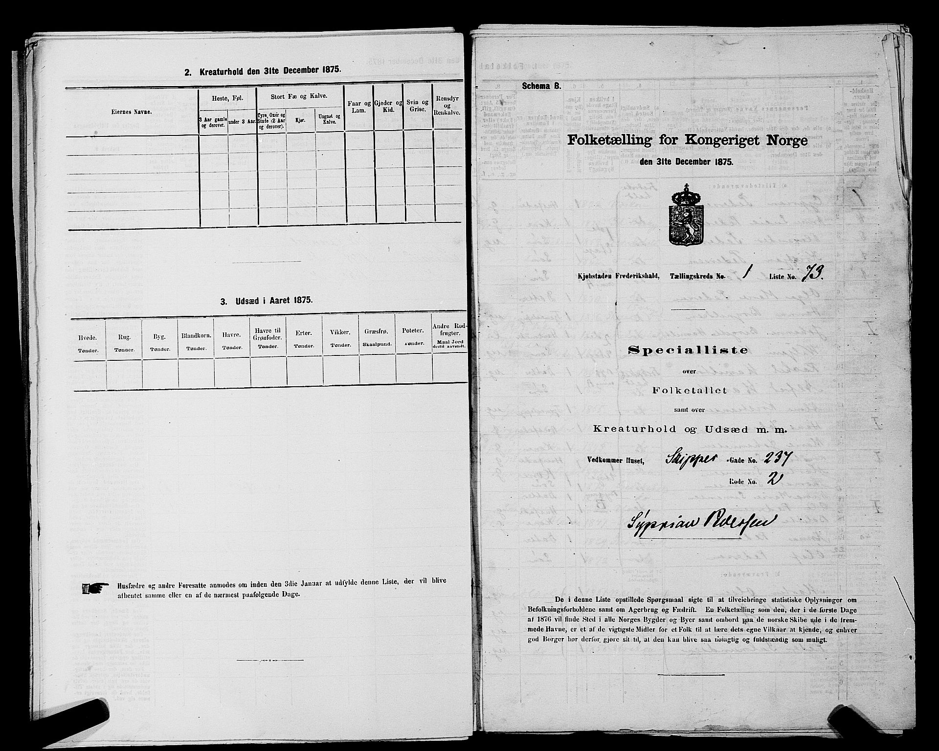 RA, 1875 census for 0101P Fredrikshald, 1875, p. 171