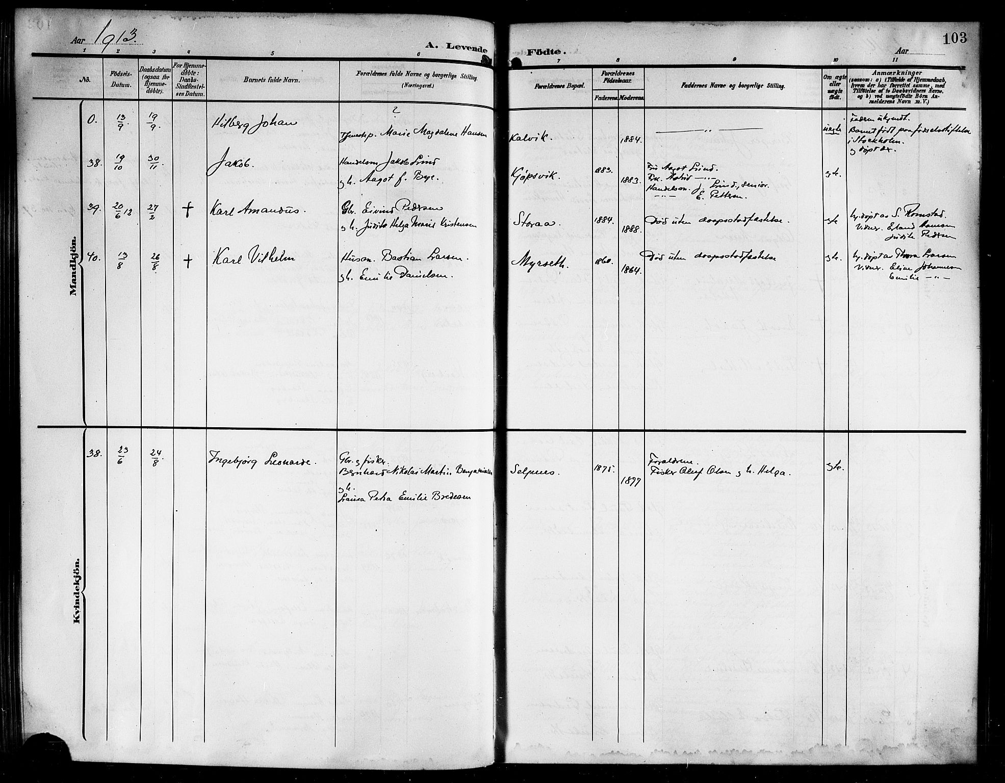 Ministerialprotokoller, klokkerbøker og fødselsregistre - Nordland, AV/SAT-A-1459/861/L0877: Parish register (copy) no. 861C03, 1903-1919, p. 103