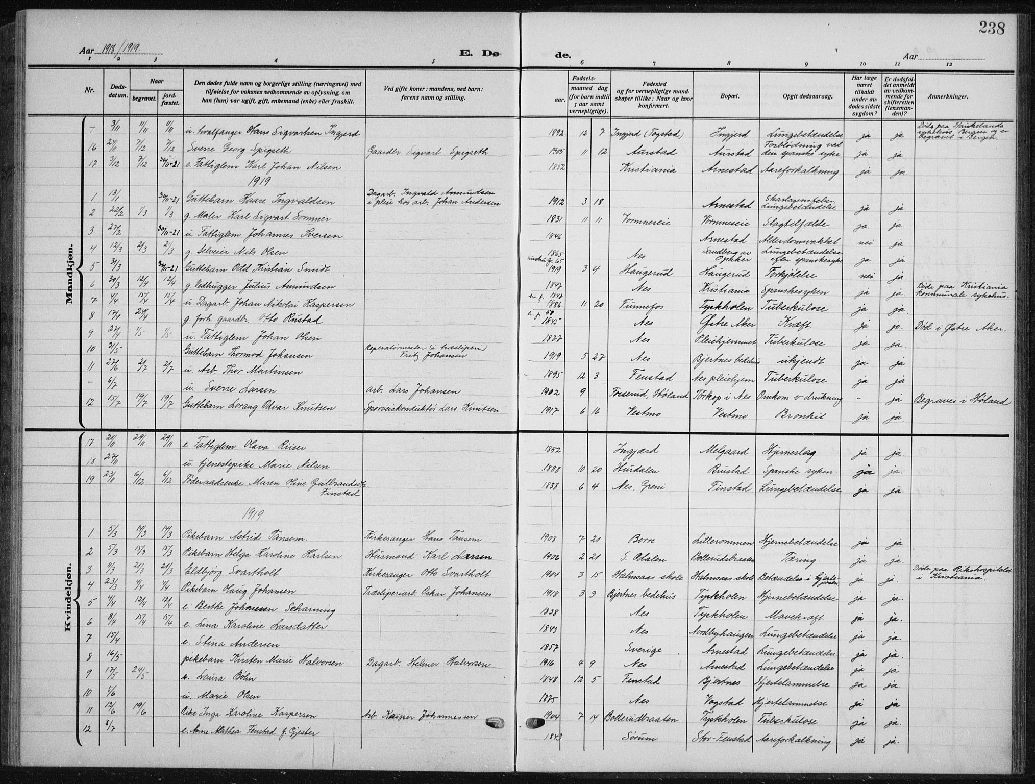 Nes prestekontor Kirkebøker, SAO/A-10410/G/Ga/L0003: Parish register (copy) no. I 3, 1913-1941, p. 238