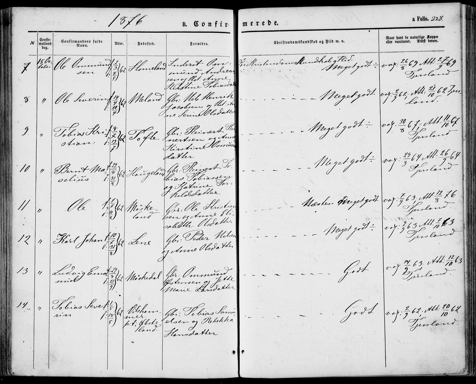 Lyngdal sokneprestkontor, SAK/1111-0029/F/Fa/Fac/L0010: Parish register (official) no. A 10, 1865-1878, p. 228