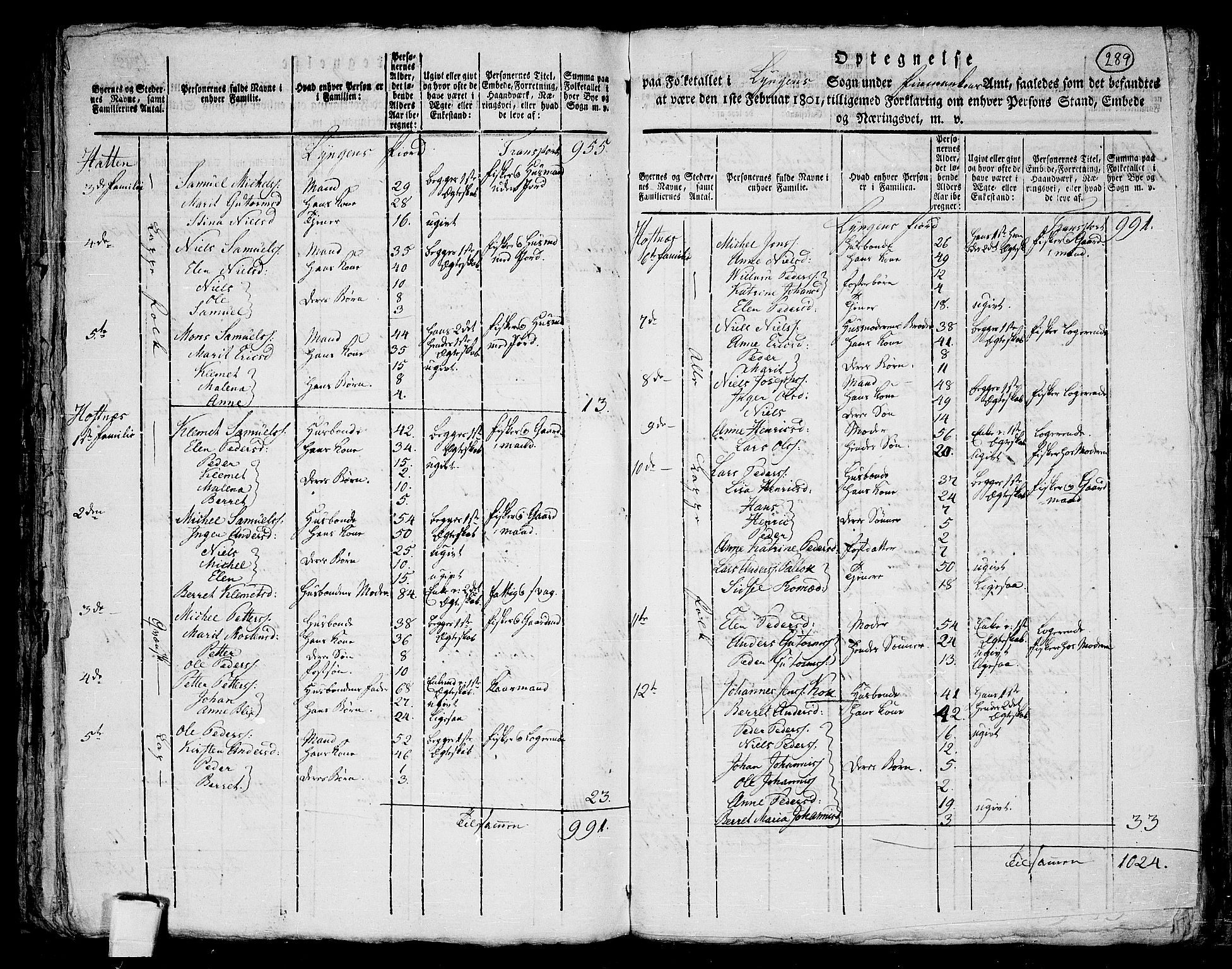 RA, 1801 census for 1938P Lyngen, 1801, p. 288b-289a